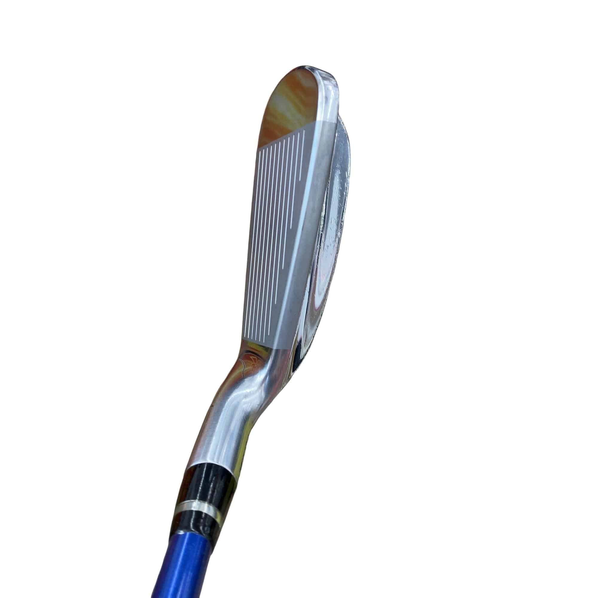 �������������@�t�c�{�Q�@�U�r�i���{���F�T�{�Z�b�g�j