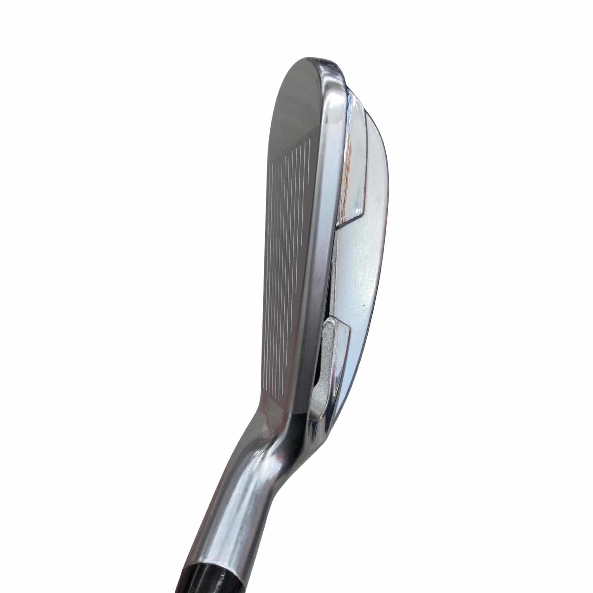 �������������@�q�l�w�@�t�c�{�Q�@�V�r�i���{���F�T�{�Z�b�g�j