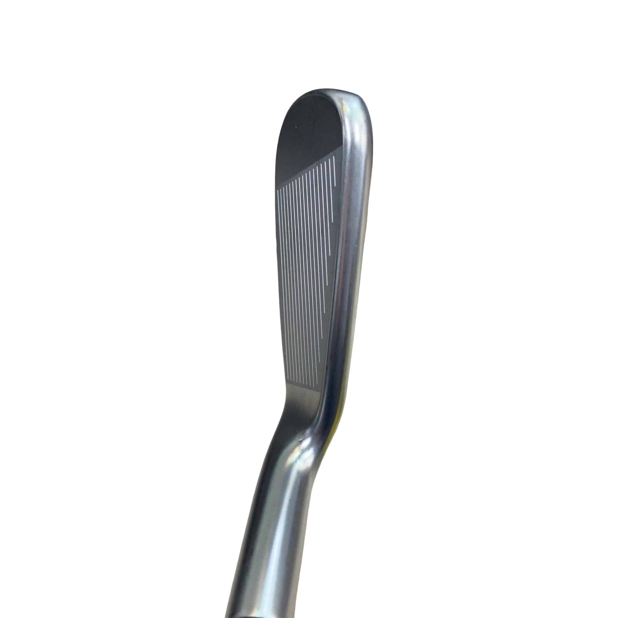 ���T�R�O�@�T�r�i���{���F�T�{�Z�b�g�j