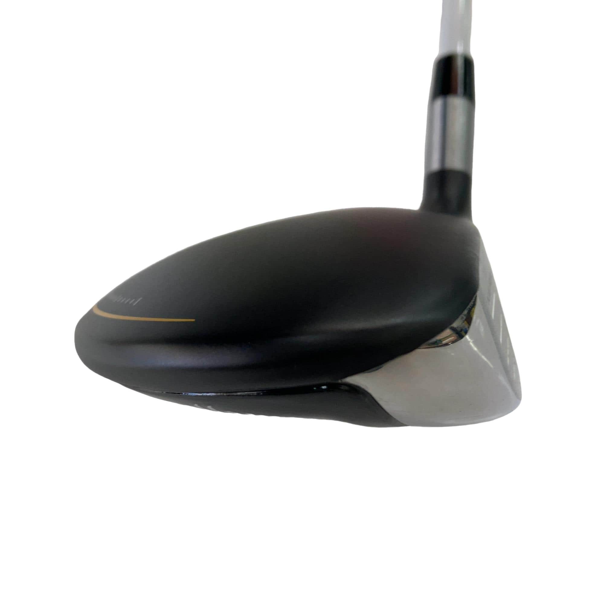 �q�n�f�t�d�@�r�s�@�l�`�w�@�e�`�r�s�@�T�v�@���f�B�[�X