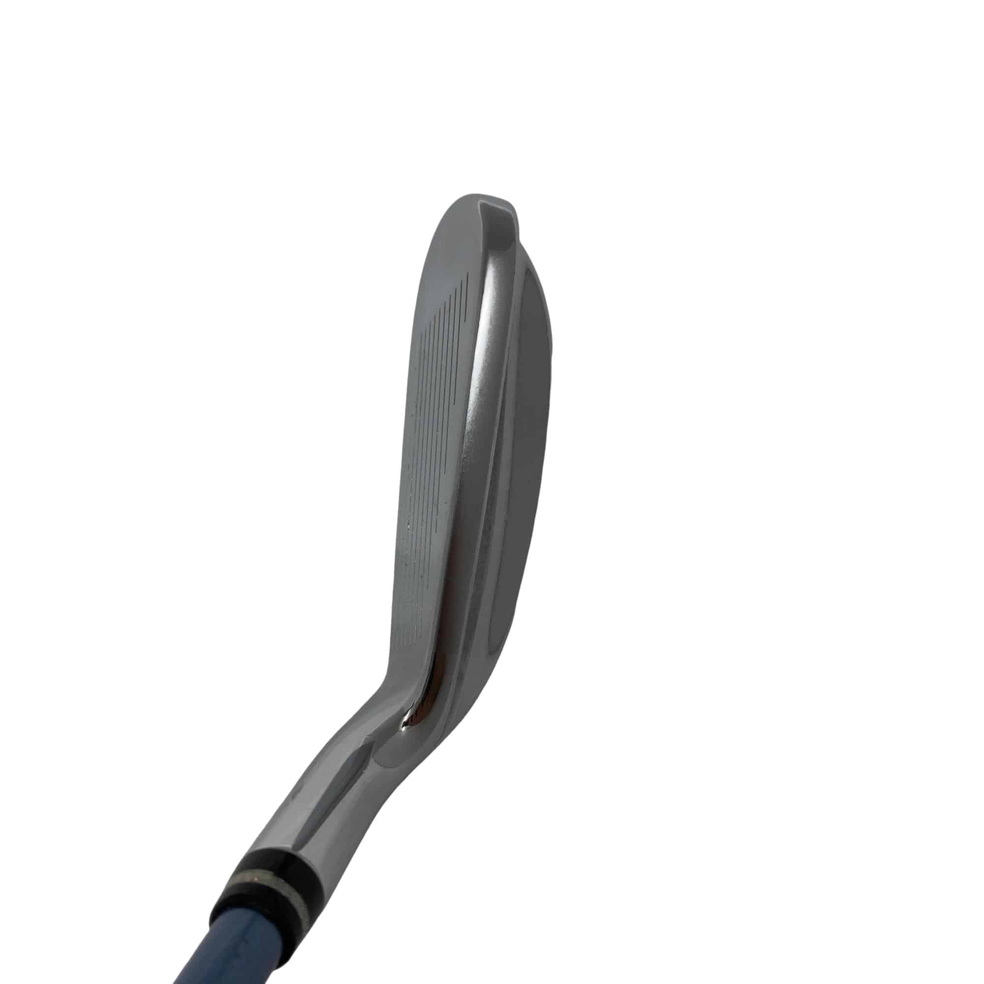 �������������@�t�c�{�Q�@�V�r�@���f�B�[�X�i���{���F�U�{�Z�b�g�j