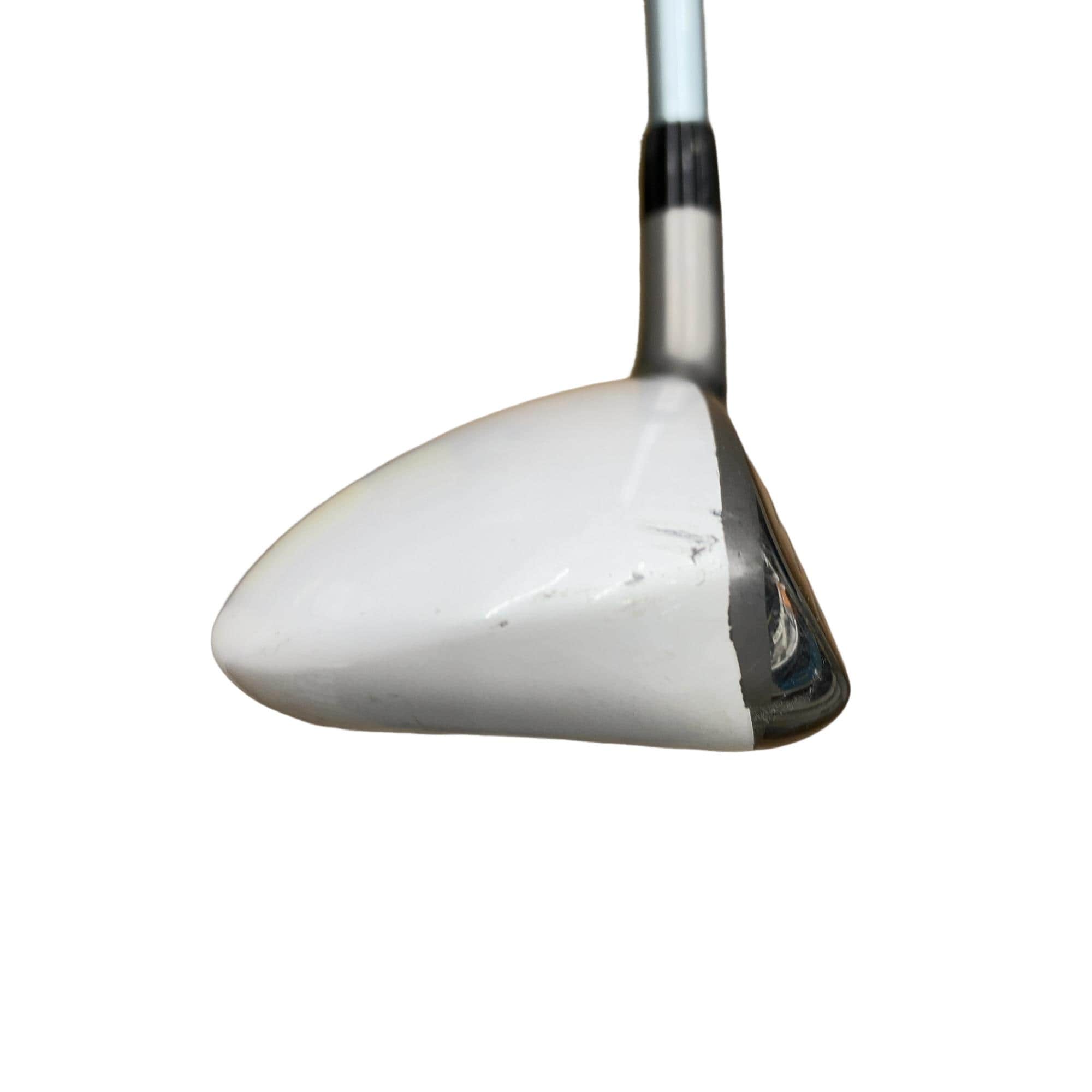 �a�q�|�w�@�t�T�@���f�B�[�X