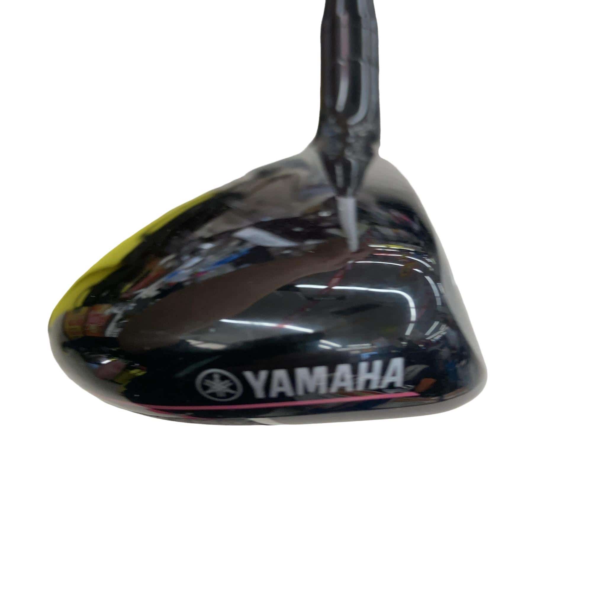 �������������@�q�l�w�@�t�S�{�@���f�B�[�X