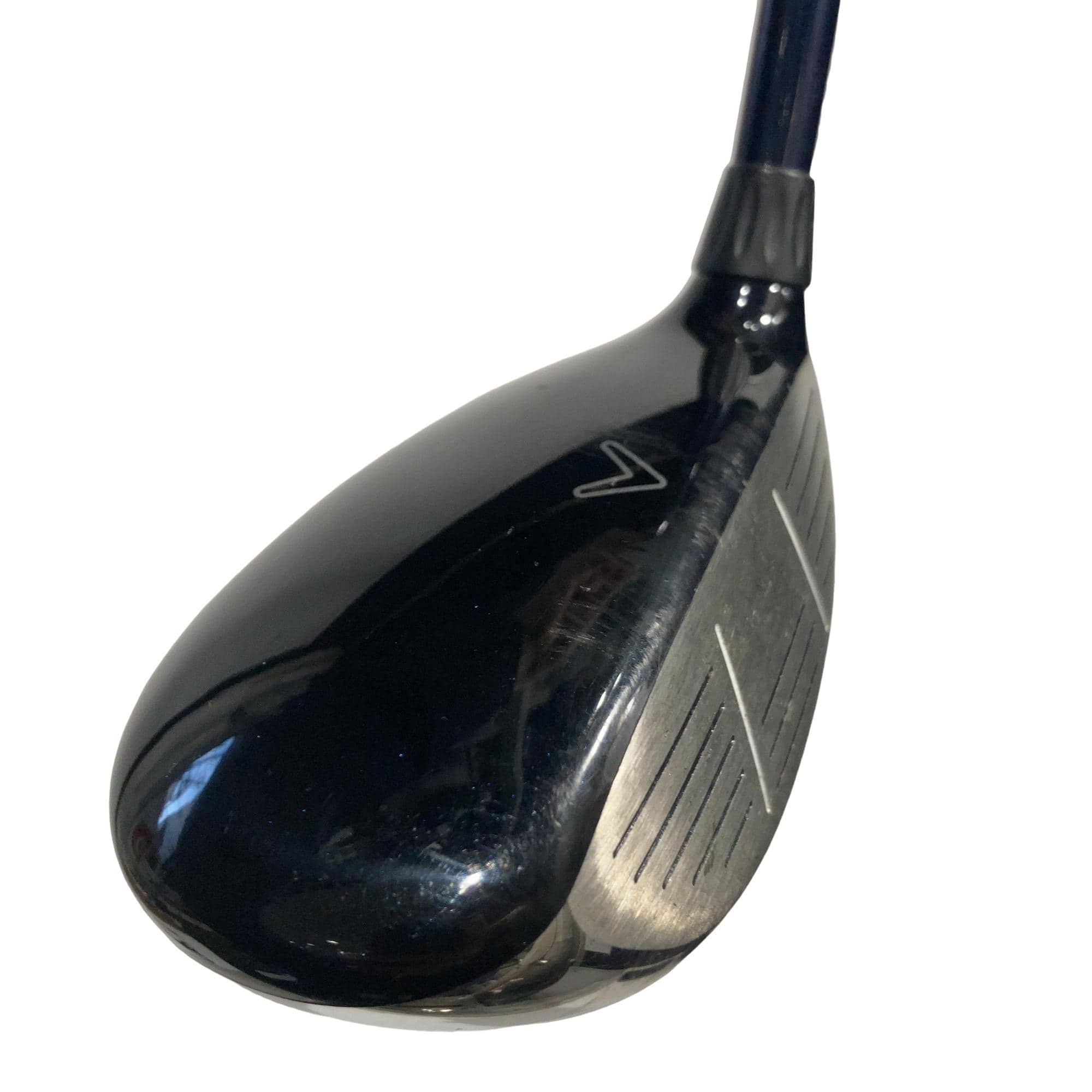 �w�@�c�q�r�@���[�e�B���e�B�@�R�g�i�Q�P°�j