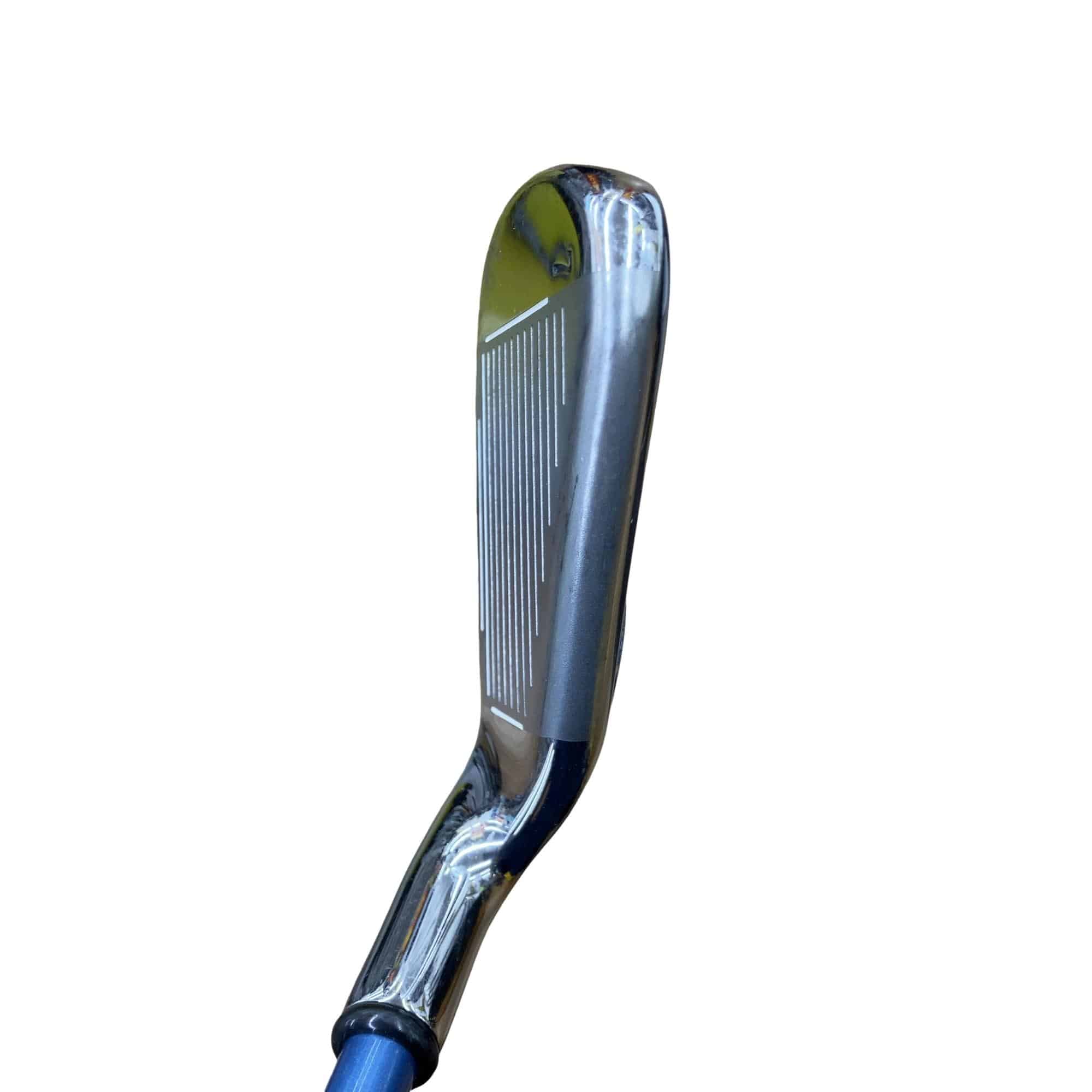 �w�E�Q�O�@�@�T�r�@���f�B�[�X�i���{���F�T�{�Z�b�g�j