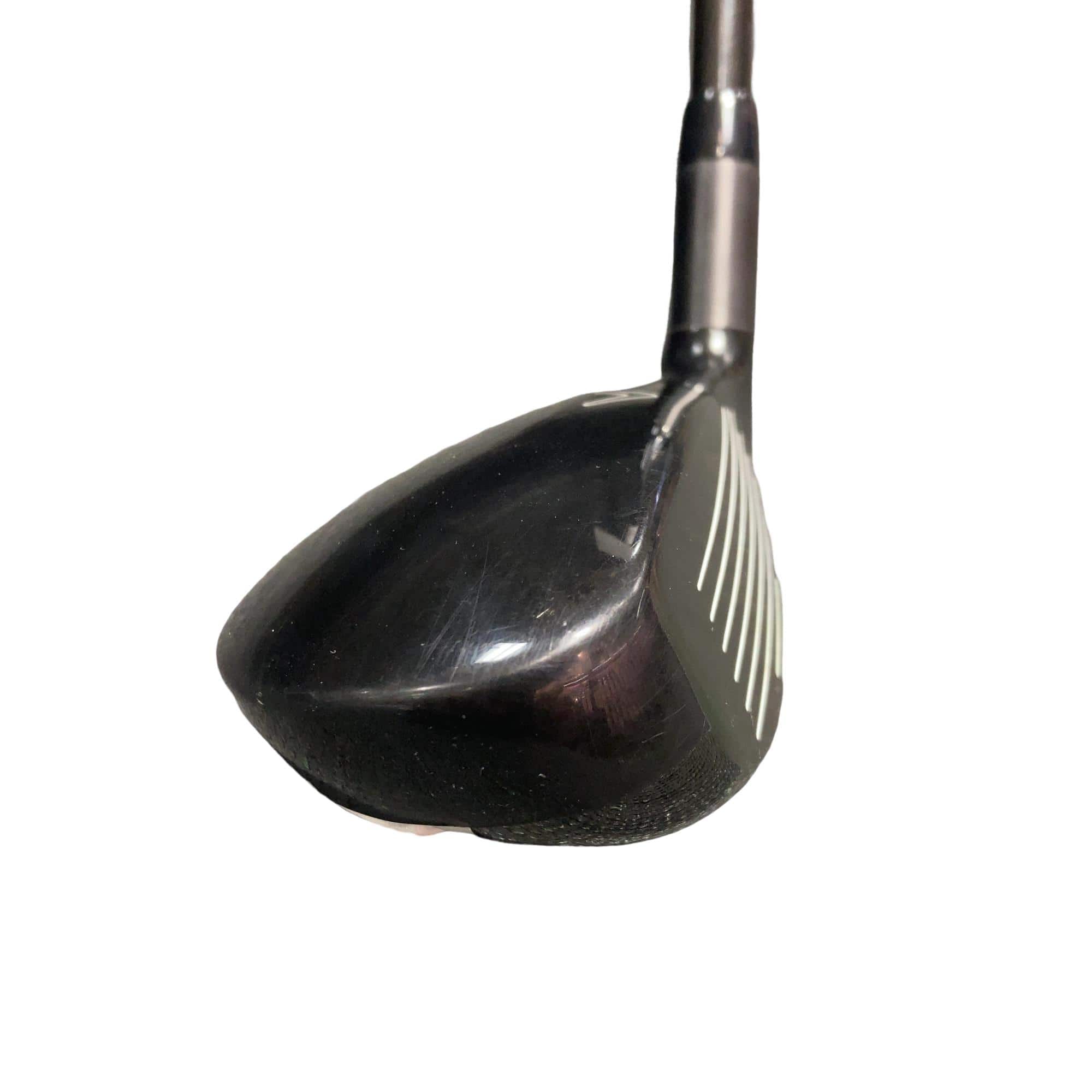 �w�Q�@�g�n�s�@�t�R