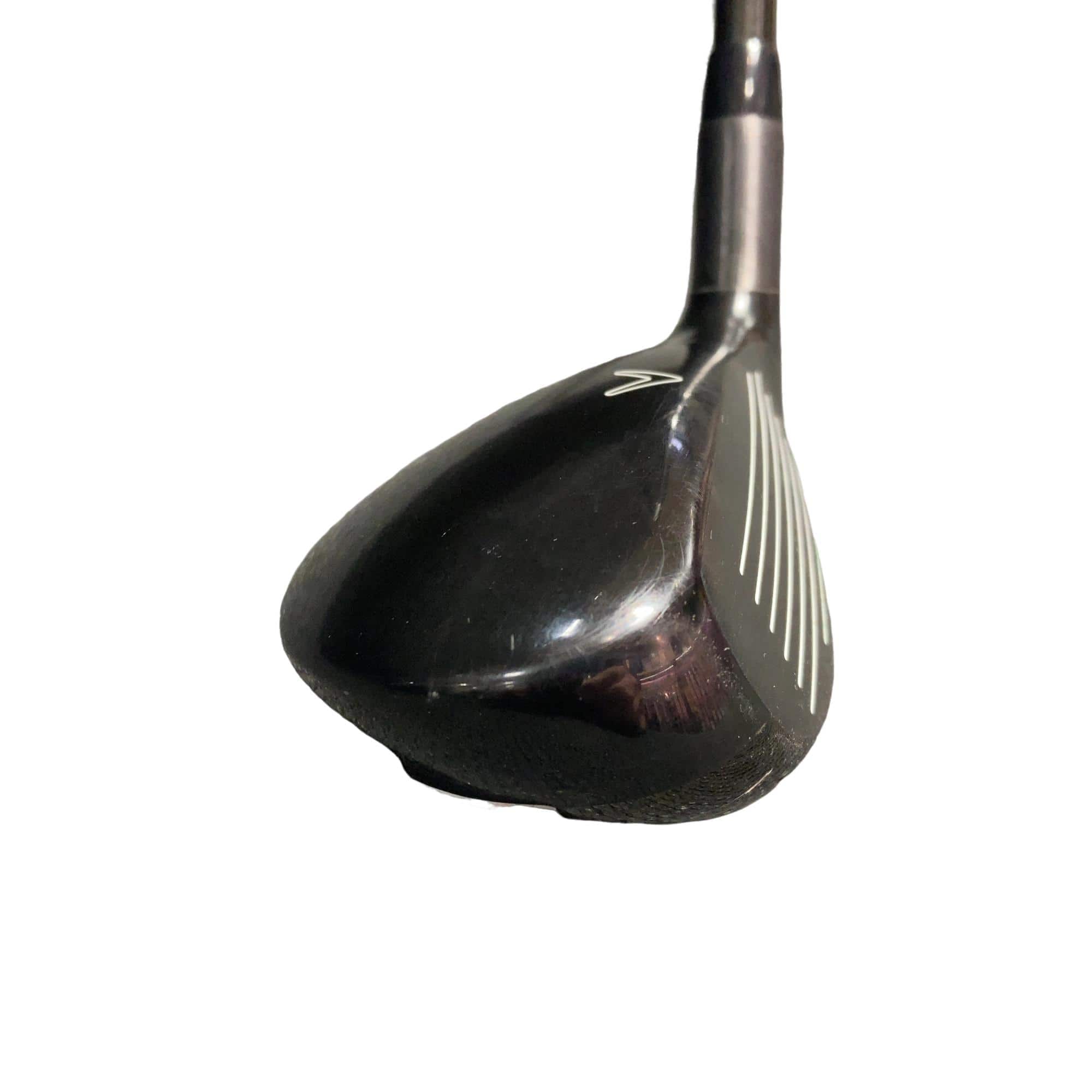 �w�Q�@�g�n�s�@�t�T