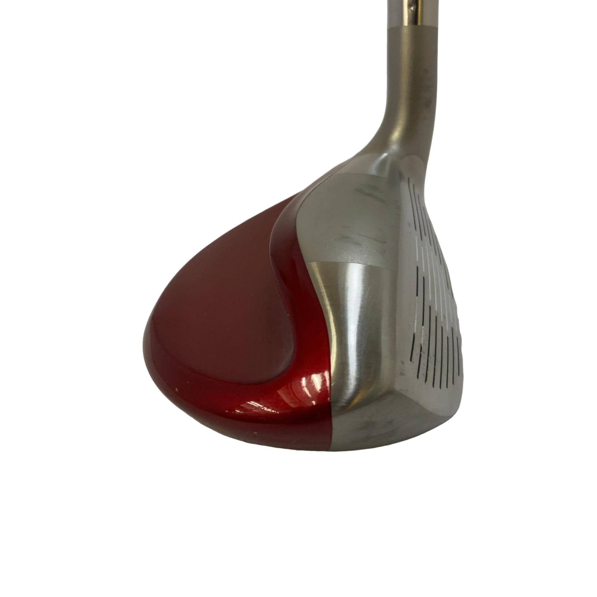 �b�o�q�@�v�������@�Q�U°