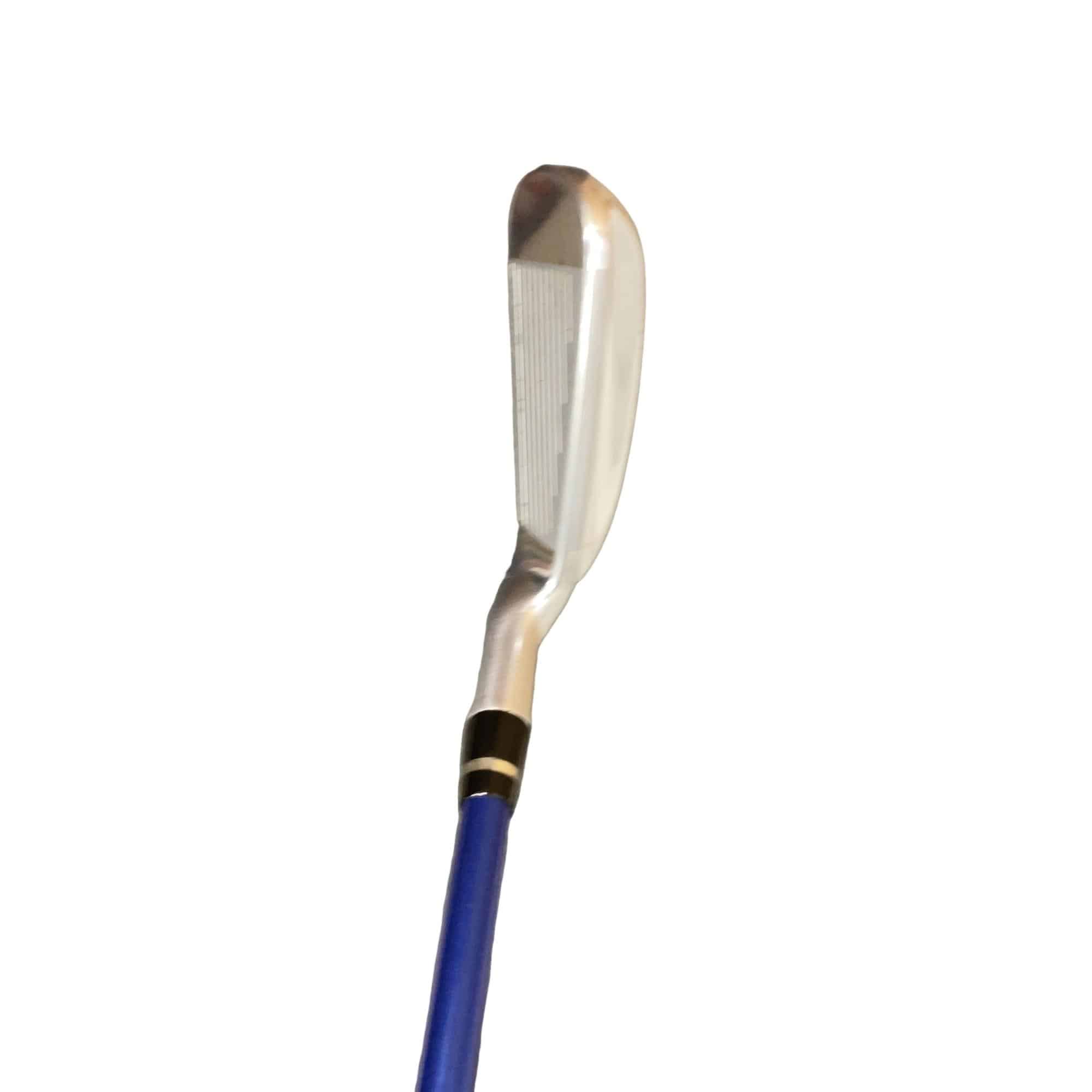 �������������@�t�c�{�Q�@�X�r�i���{���F�W�{�Z�b�g�j