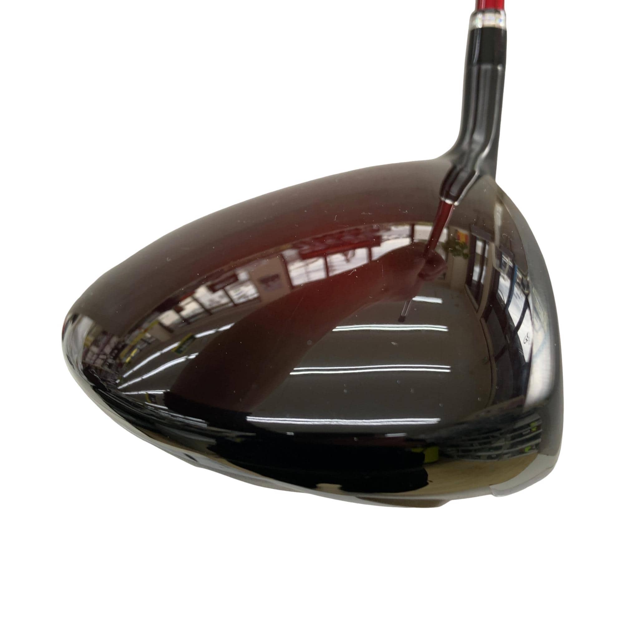 �u�n�k�s���n�@�h�u�@�f�@�g���i�u���b�N�j�@�P�O°