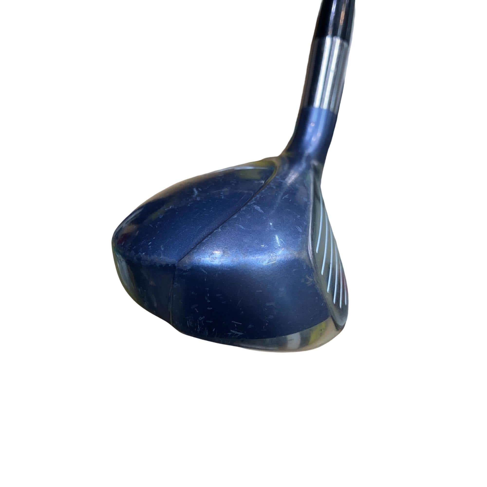 ���������i�Q�O�O�U�j�@�T�t�@���f�B�[�X