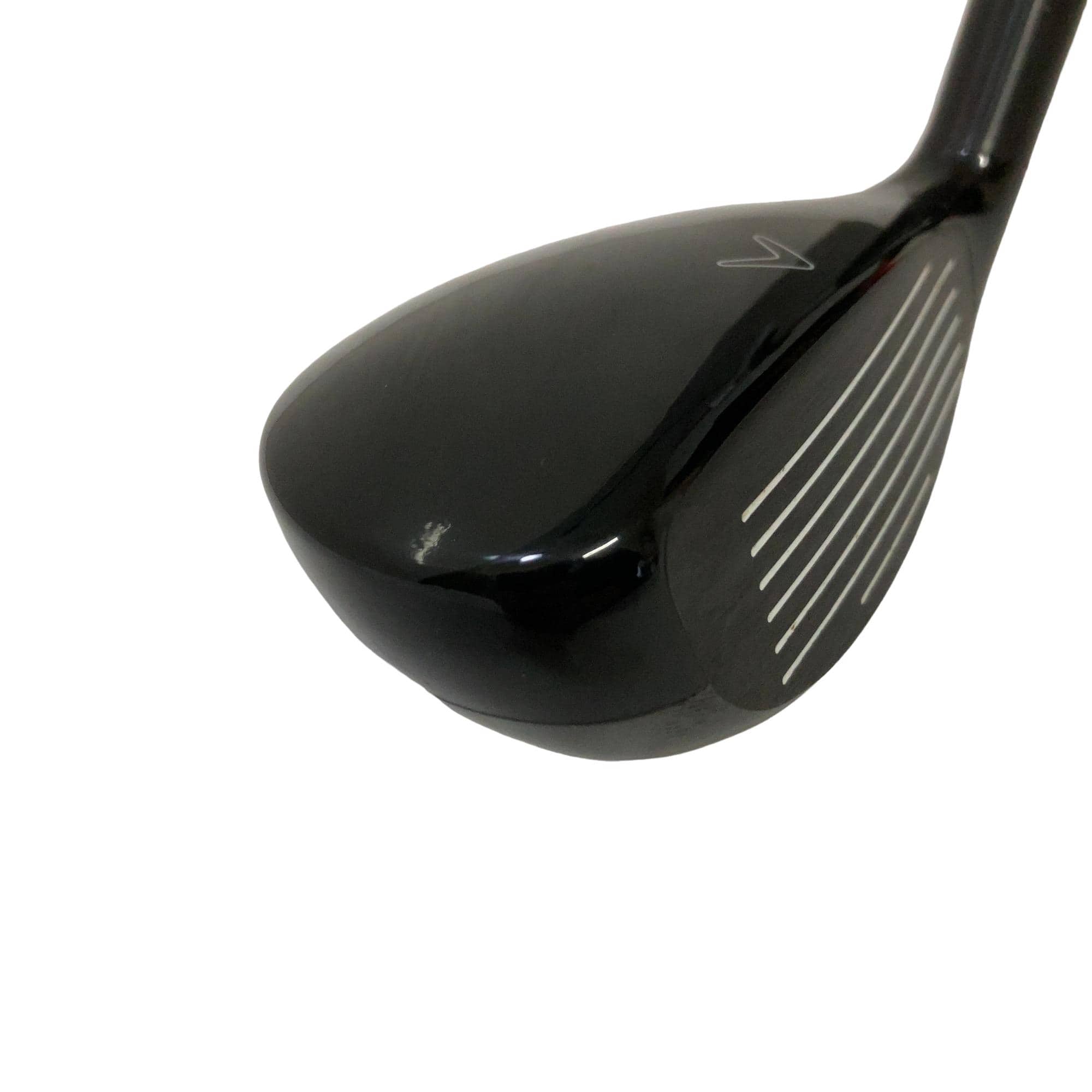 �w�Q�@�g�n�s�@�t�R