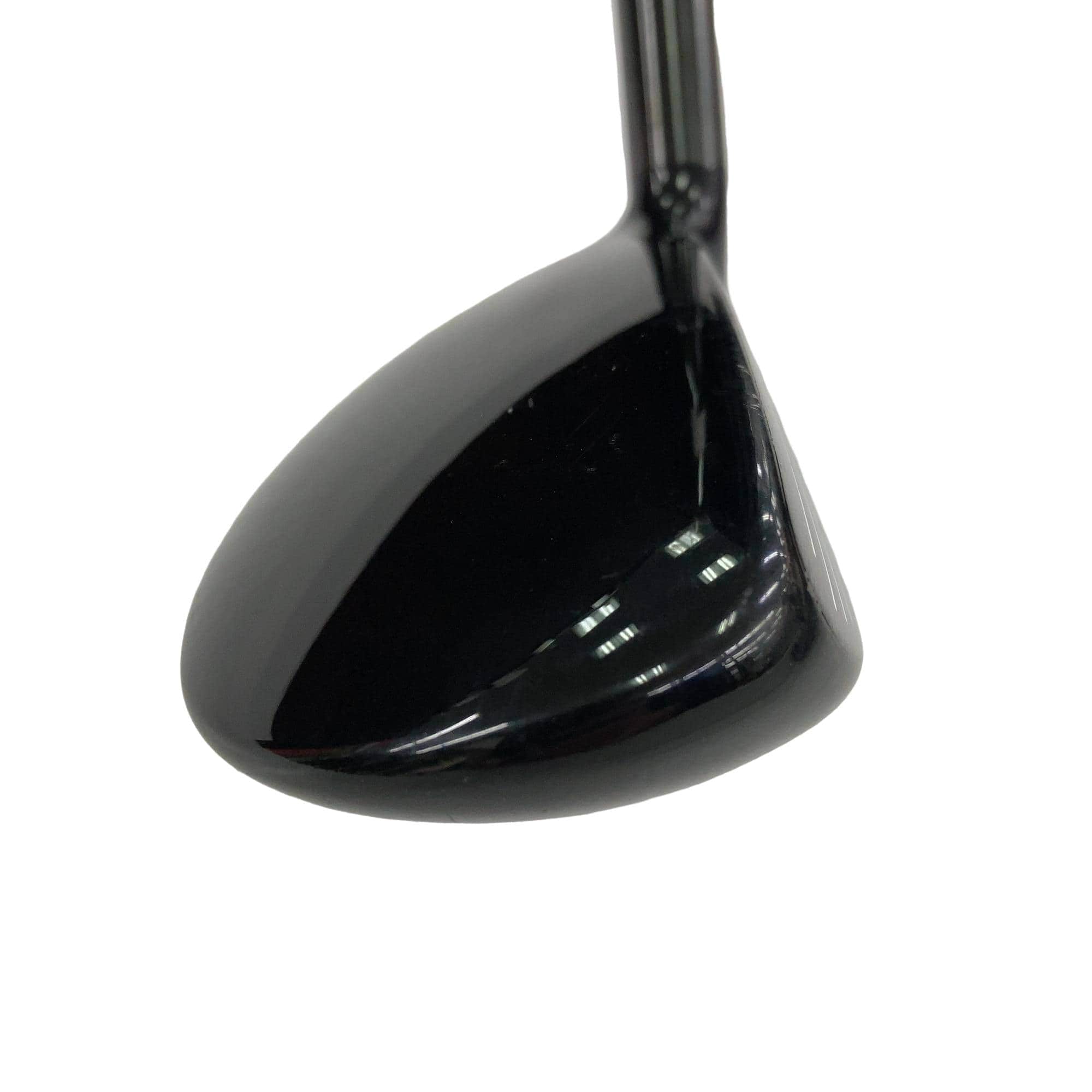 �w�@�g�n�s�@�t�S