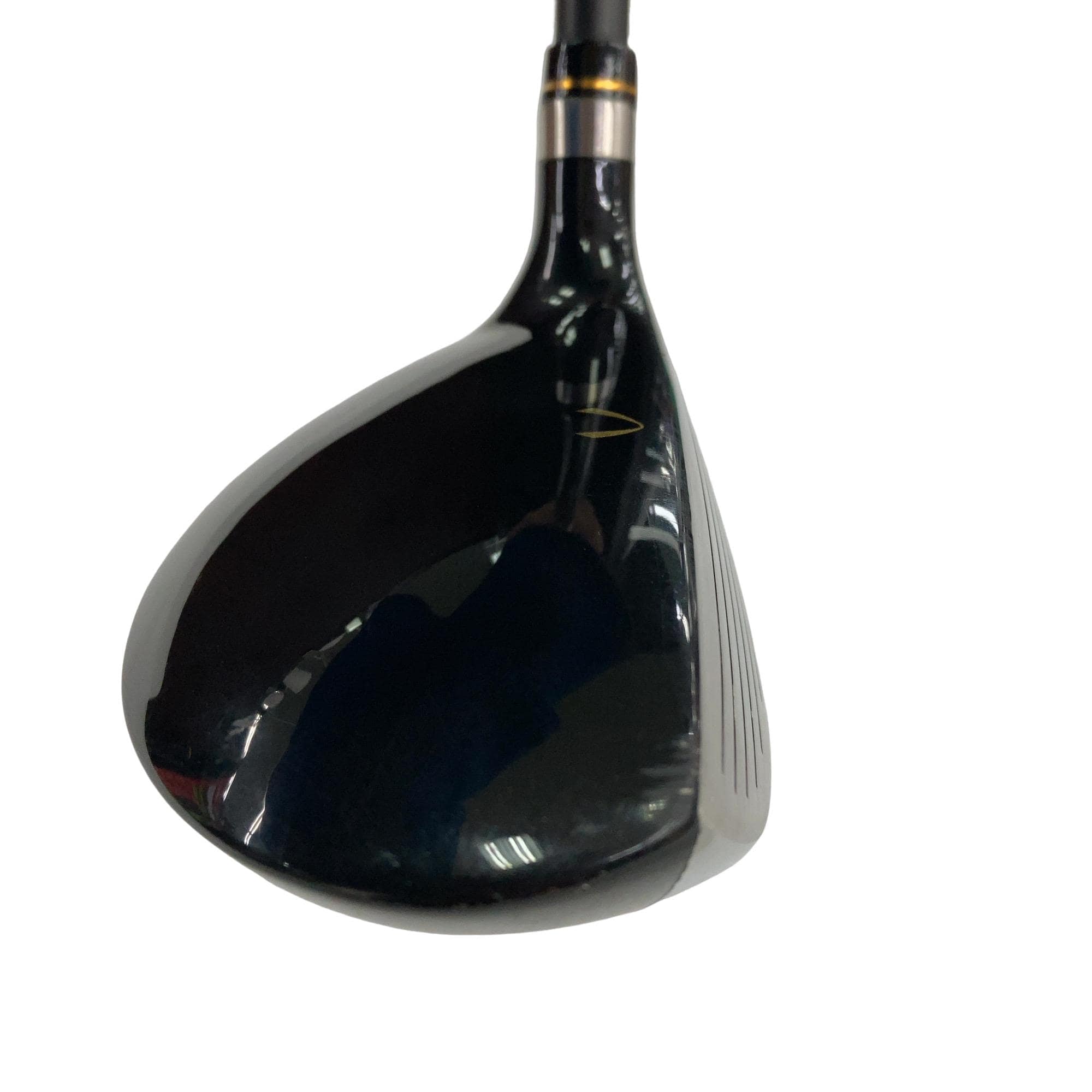 �j�Q�j�@���������O�X���[�e�B���e�B�@�t�T