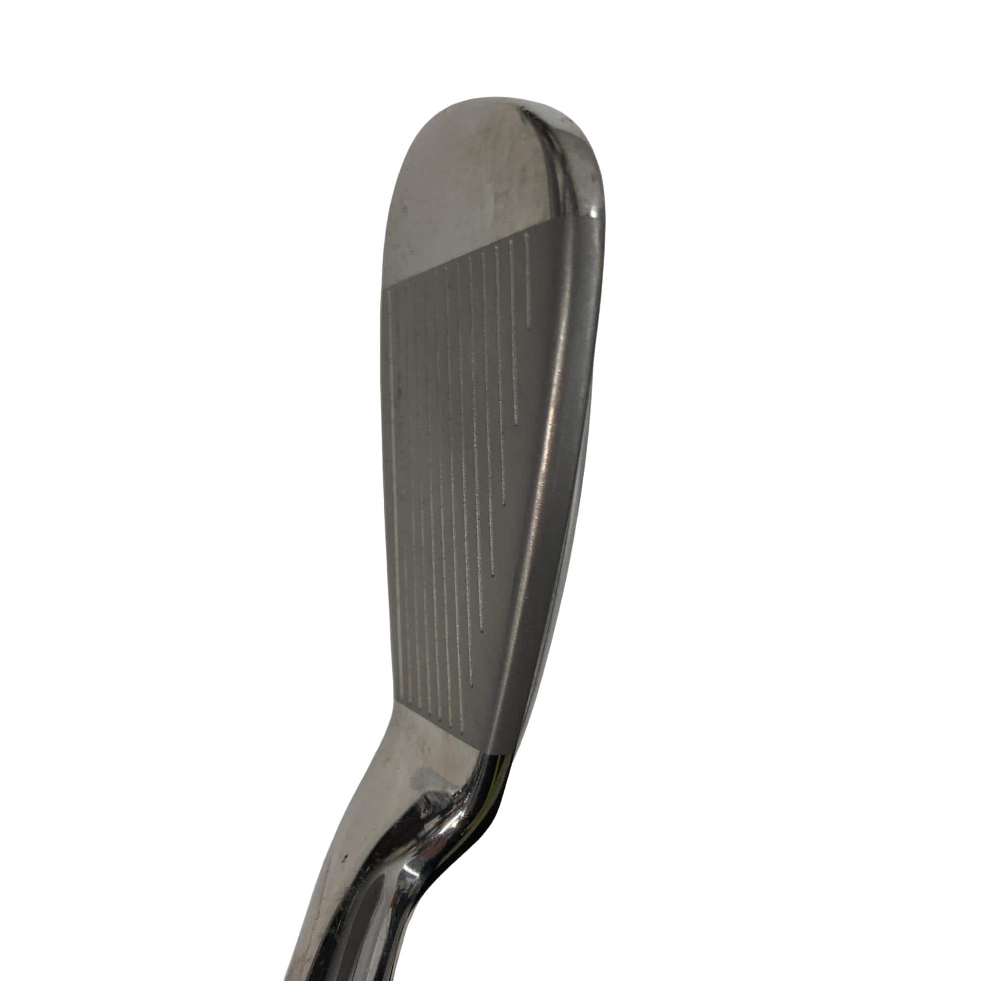 �o���������������@�b�k�i�Q�O�P�Q�j�@�T�r�@���f�B�[�X�i���{���F�R�{�Z�b�g�j