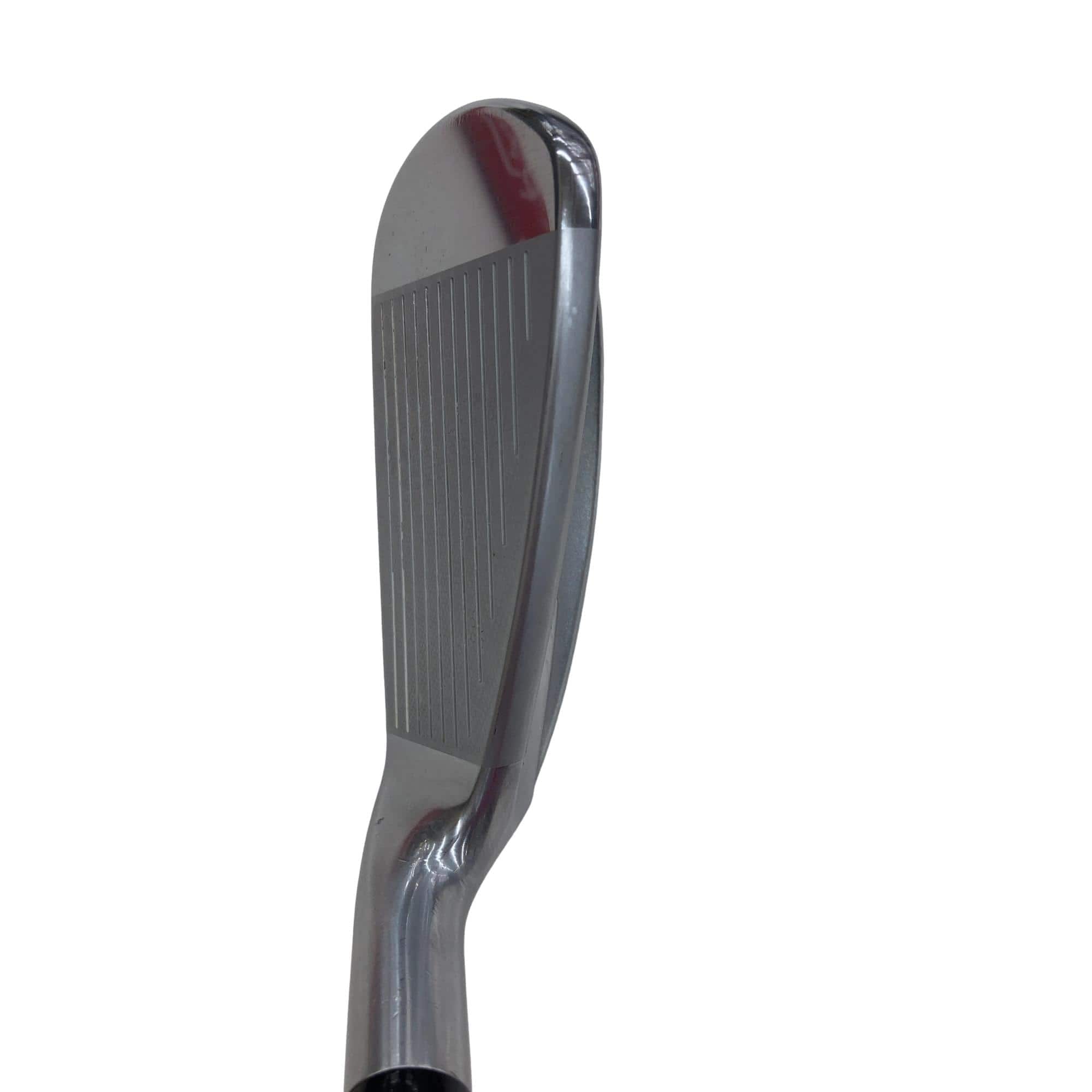 �������������@�q�l�w�@�t�c�{�Q�@�S�r�i���{���F�S�{�Z�b�g�j