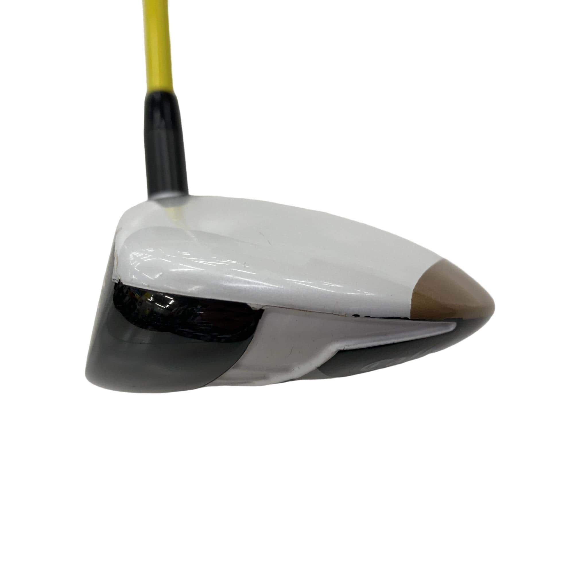 �w�Q�@�g�n�s�@�@�T�v�@���t�e�B