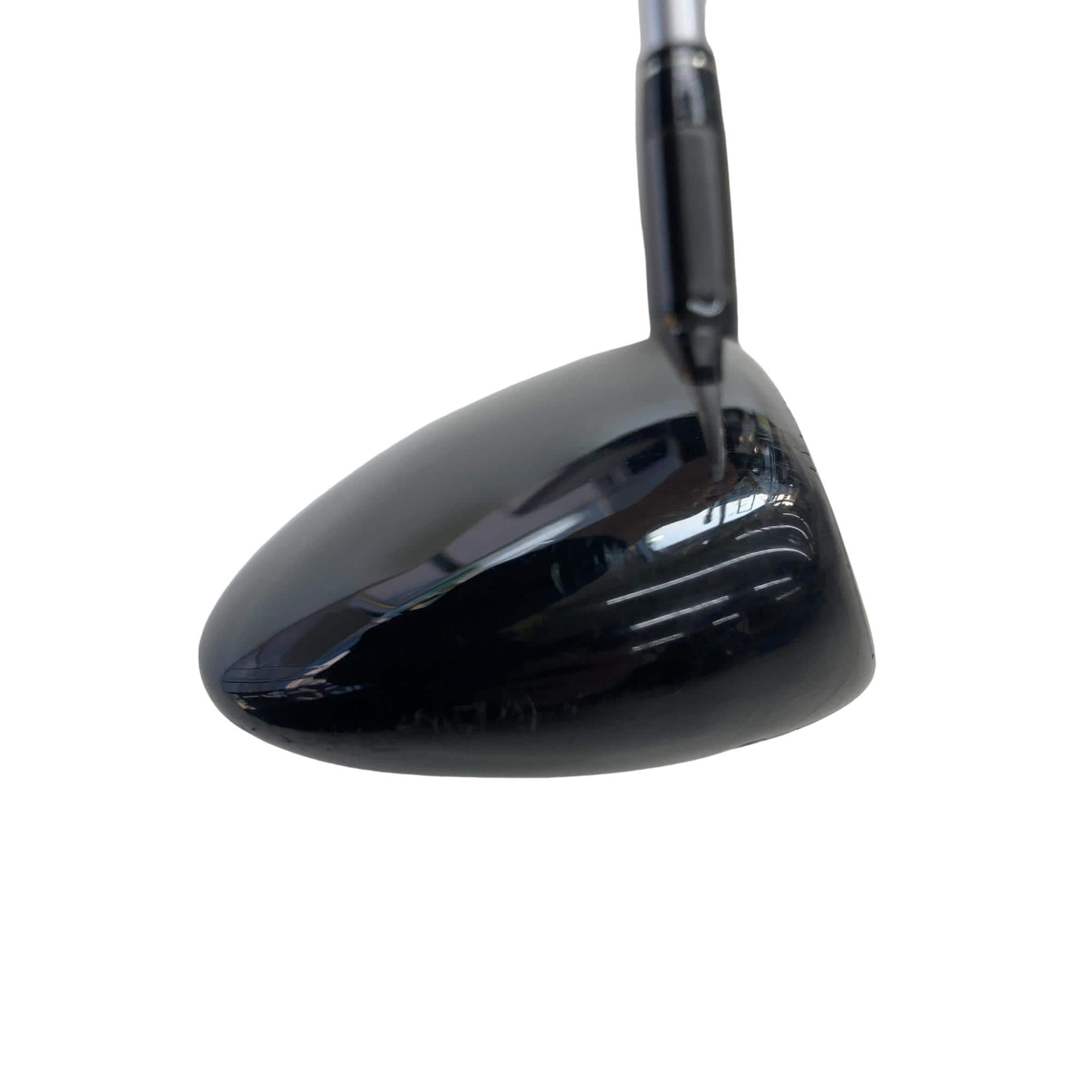 �w�@�g�n�s�@�t�R