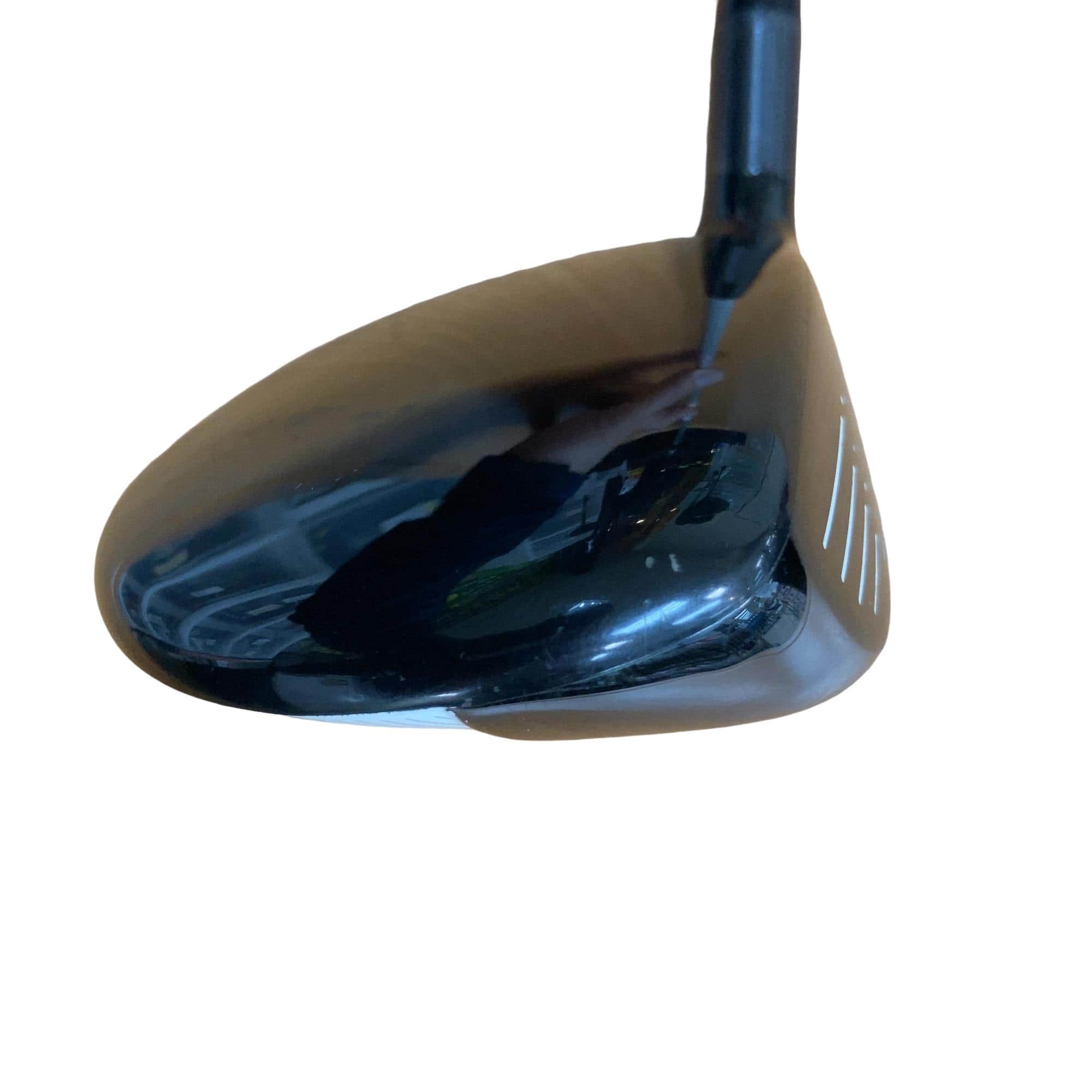 �w�@�g�n�s�@�@�T�v