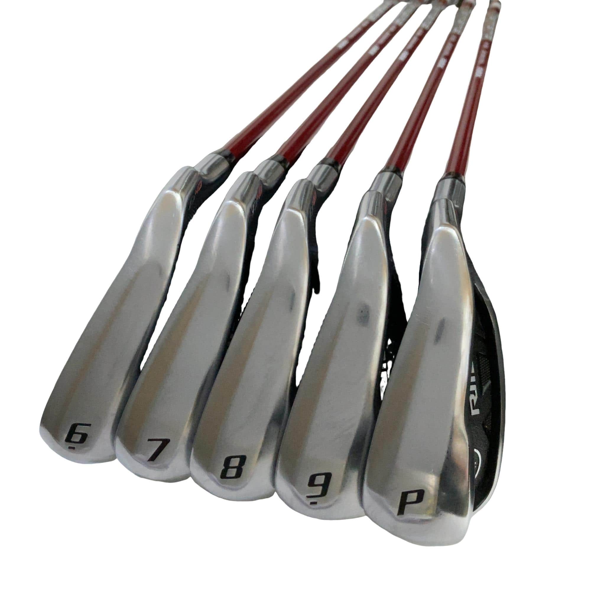 �q�l�w�@�u�c�S�O�@�T�r�i���{���F�T�{�Z�b�g�j