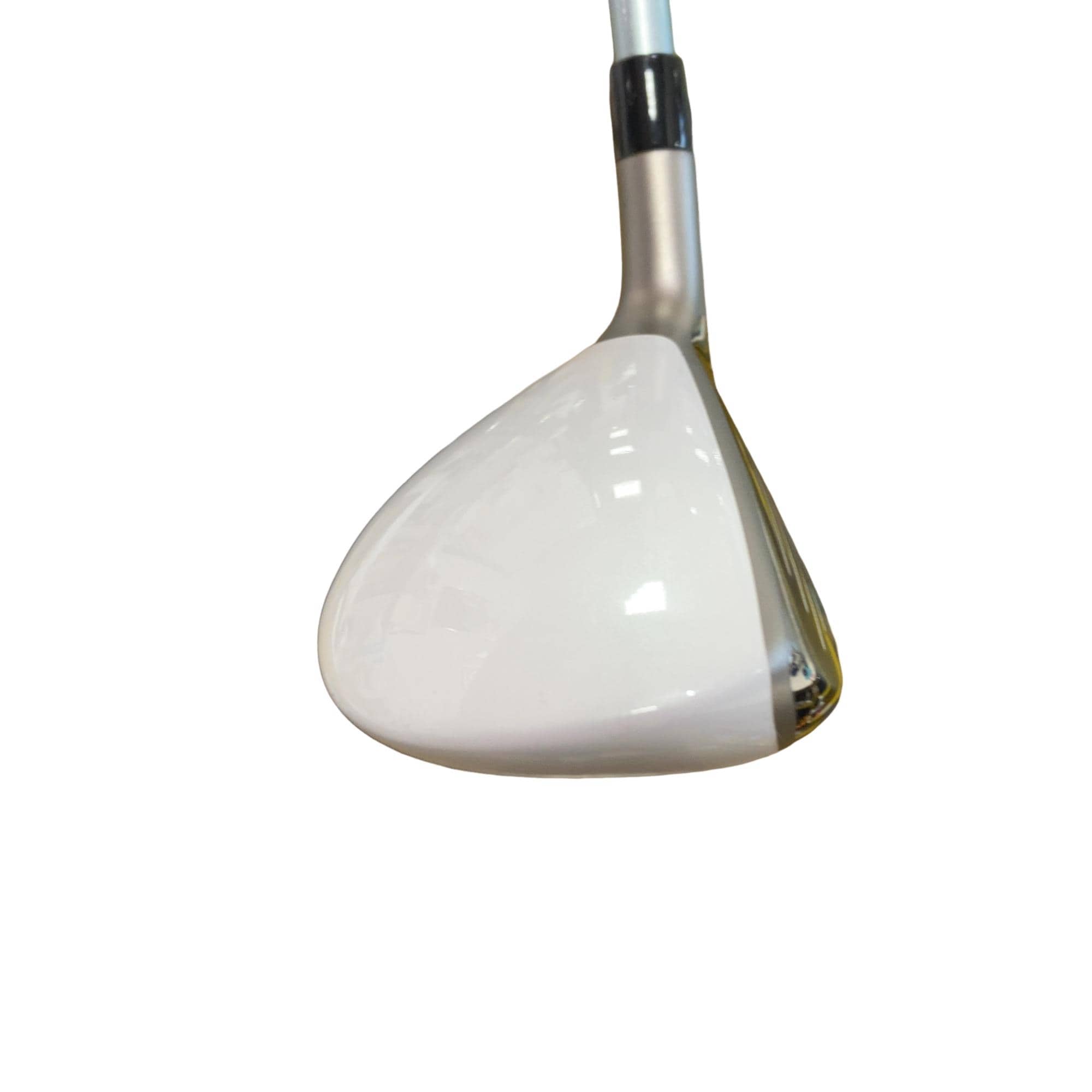 �a�q�|�w�@�t�T�@���f�B�[�X