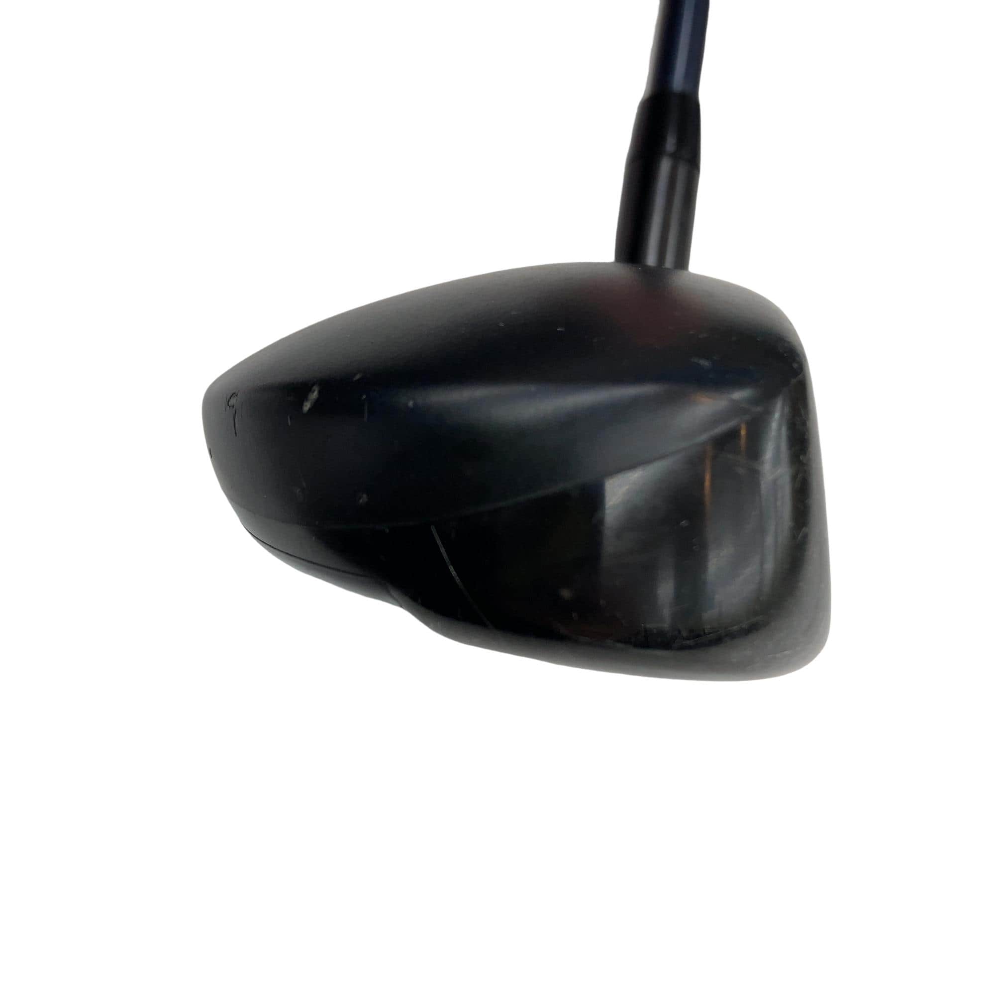 �w�q�@�P�U�@�n�r�@�t�R