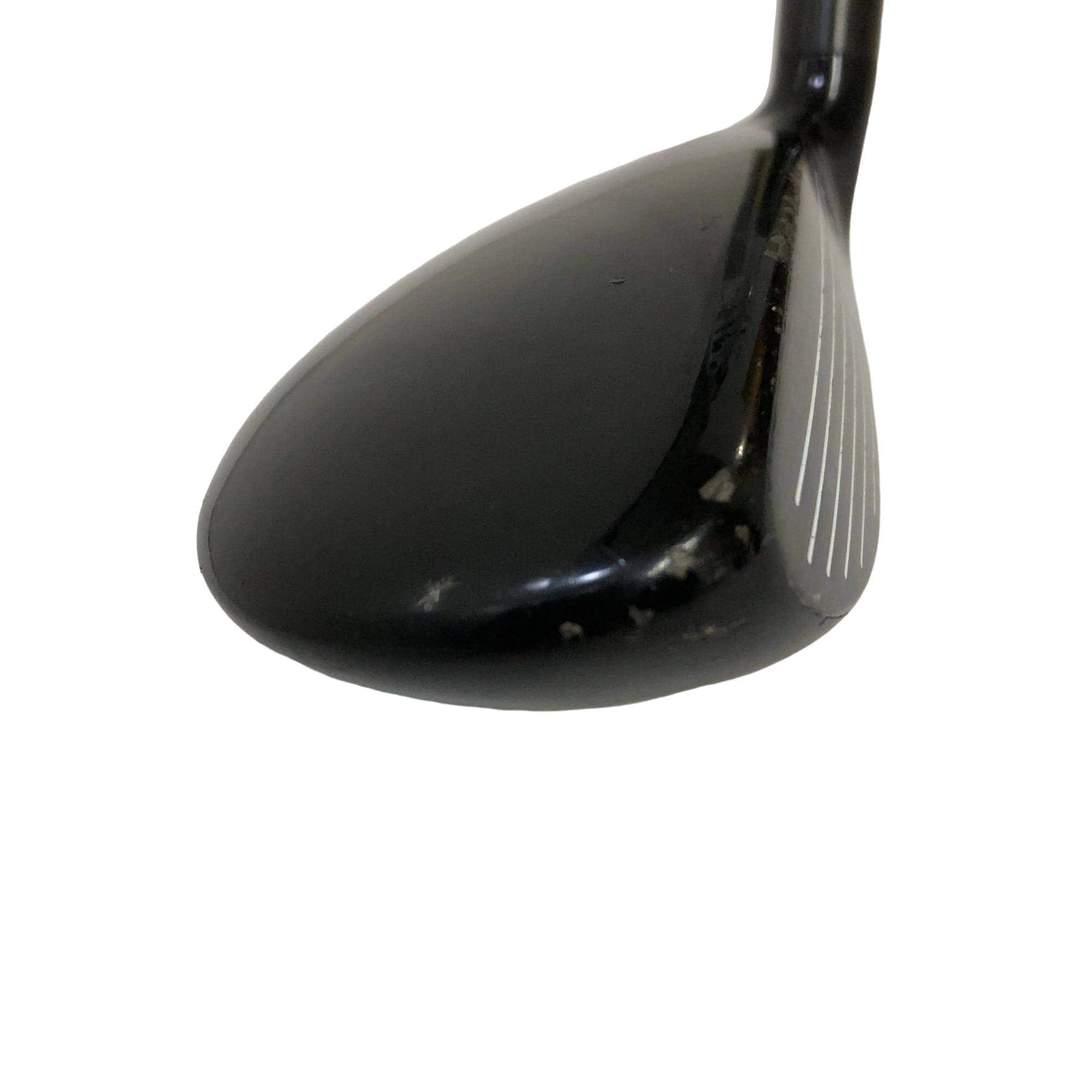 �w�@�g�n�s�@�t�S