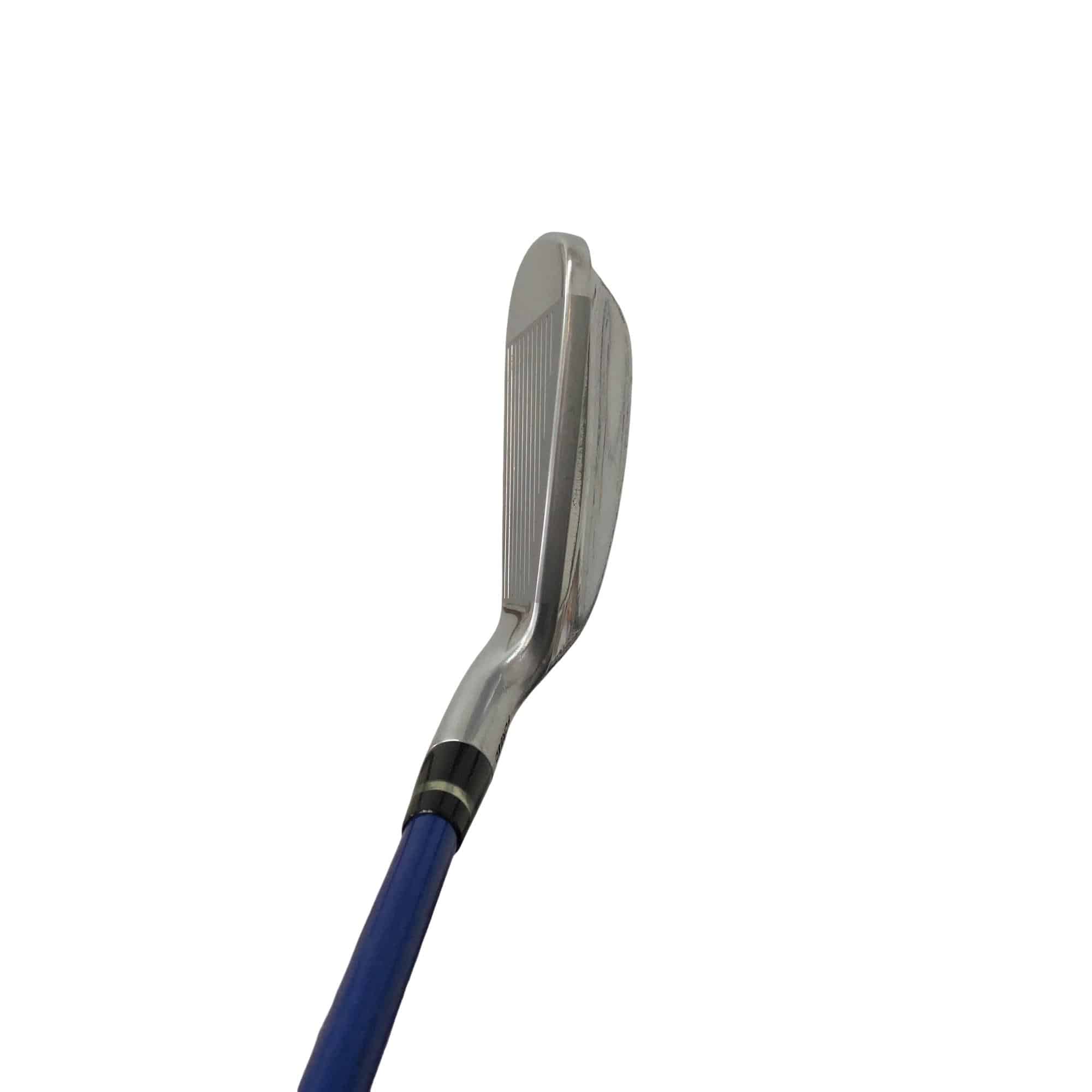 �������������@�t�c�{�Q�@�S�r�i���{���F�S�{�Z�b�g�j