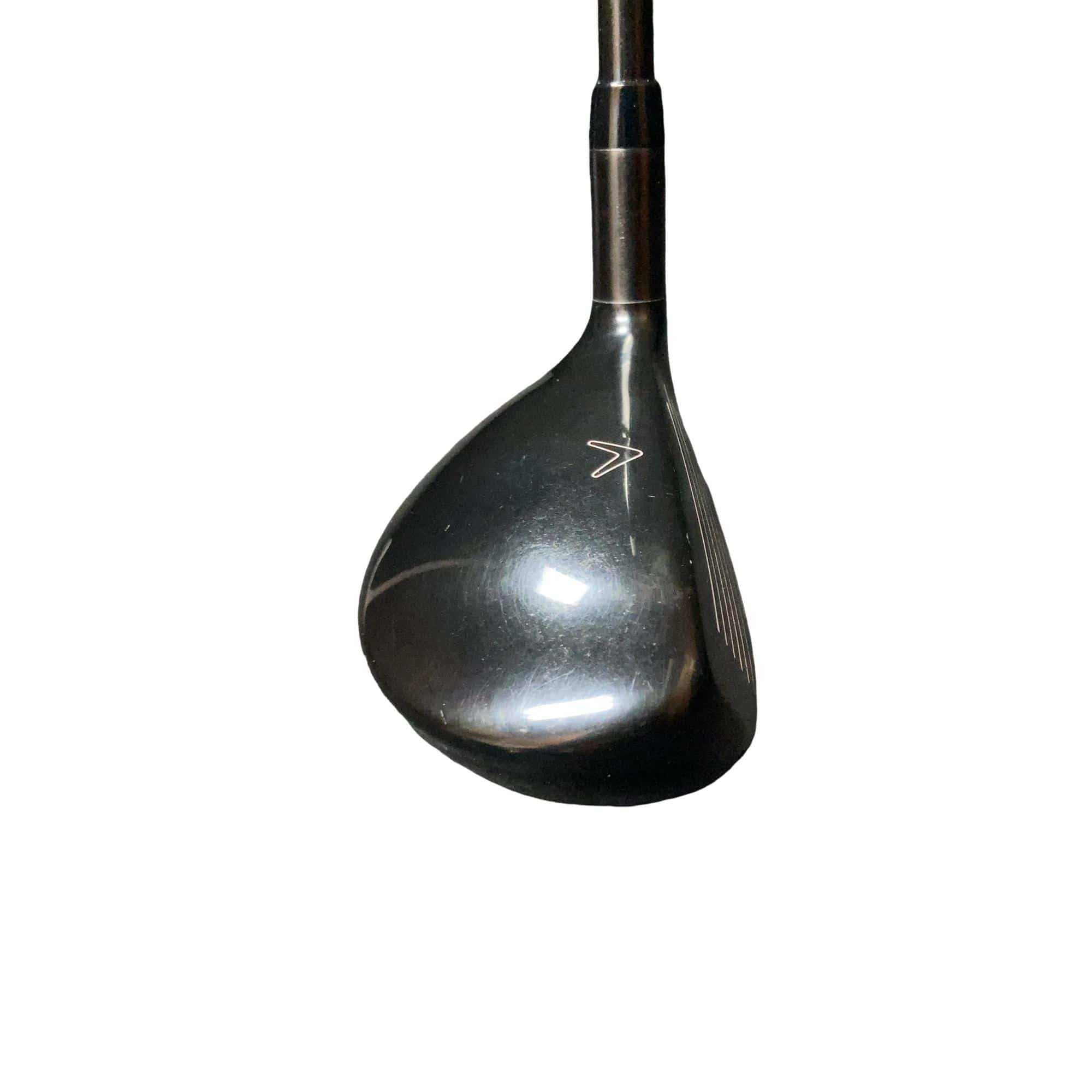 �w�Q�@�g�n�s�@�t�T