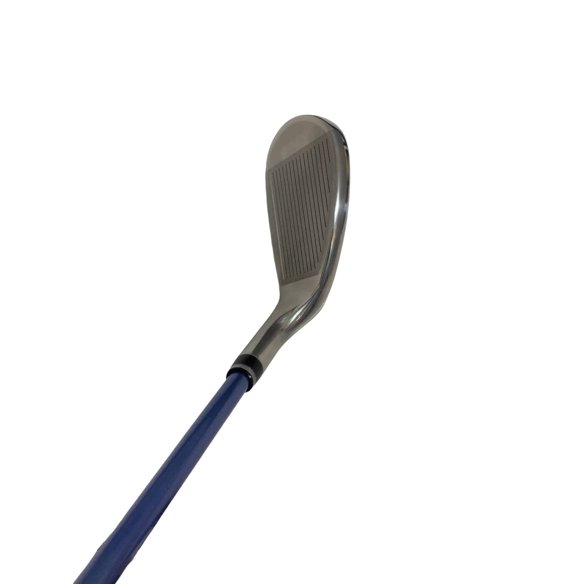 �w�w�h�n�i�Q�O�Q�O�j�@�T�r�@���f�B�[�X�i���{���F�T�{�Z�b�g�j