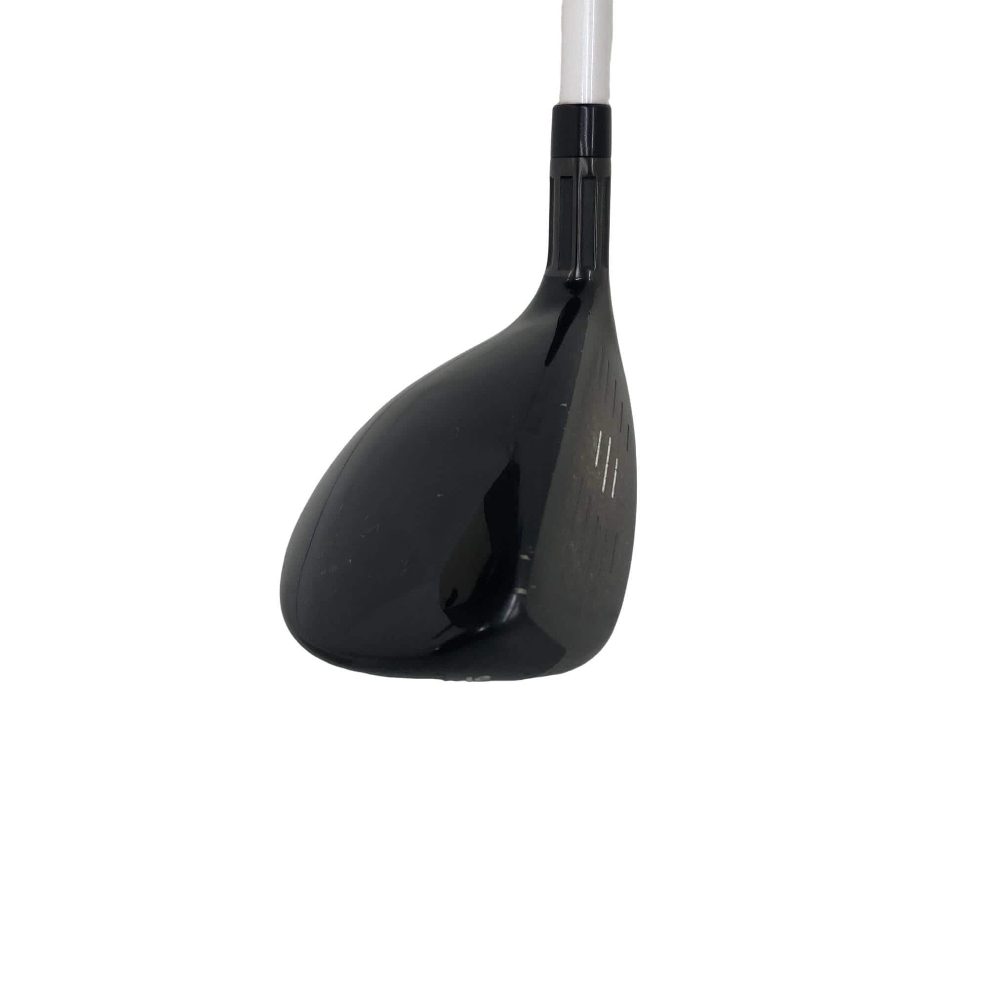 �l�Q�@�t�S�@���f�B�[�X