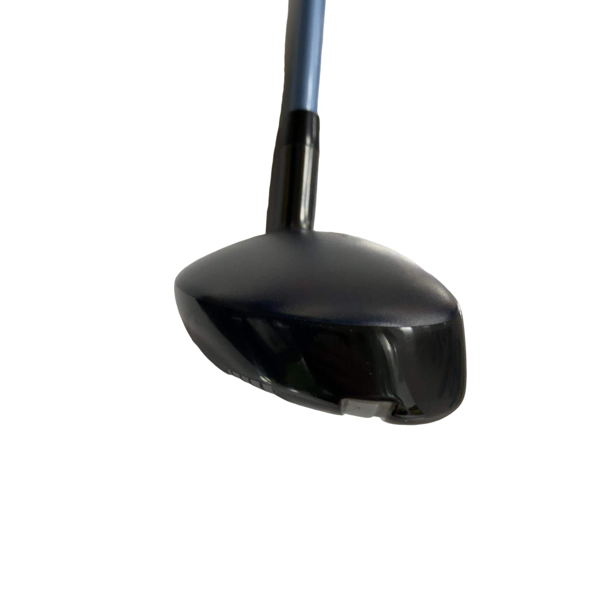 �w�q�@�t�S�@���f�B�[�X