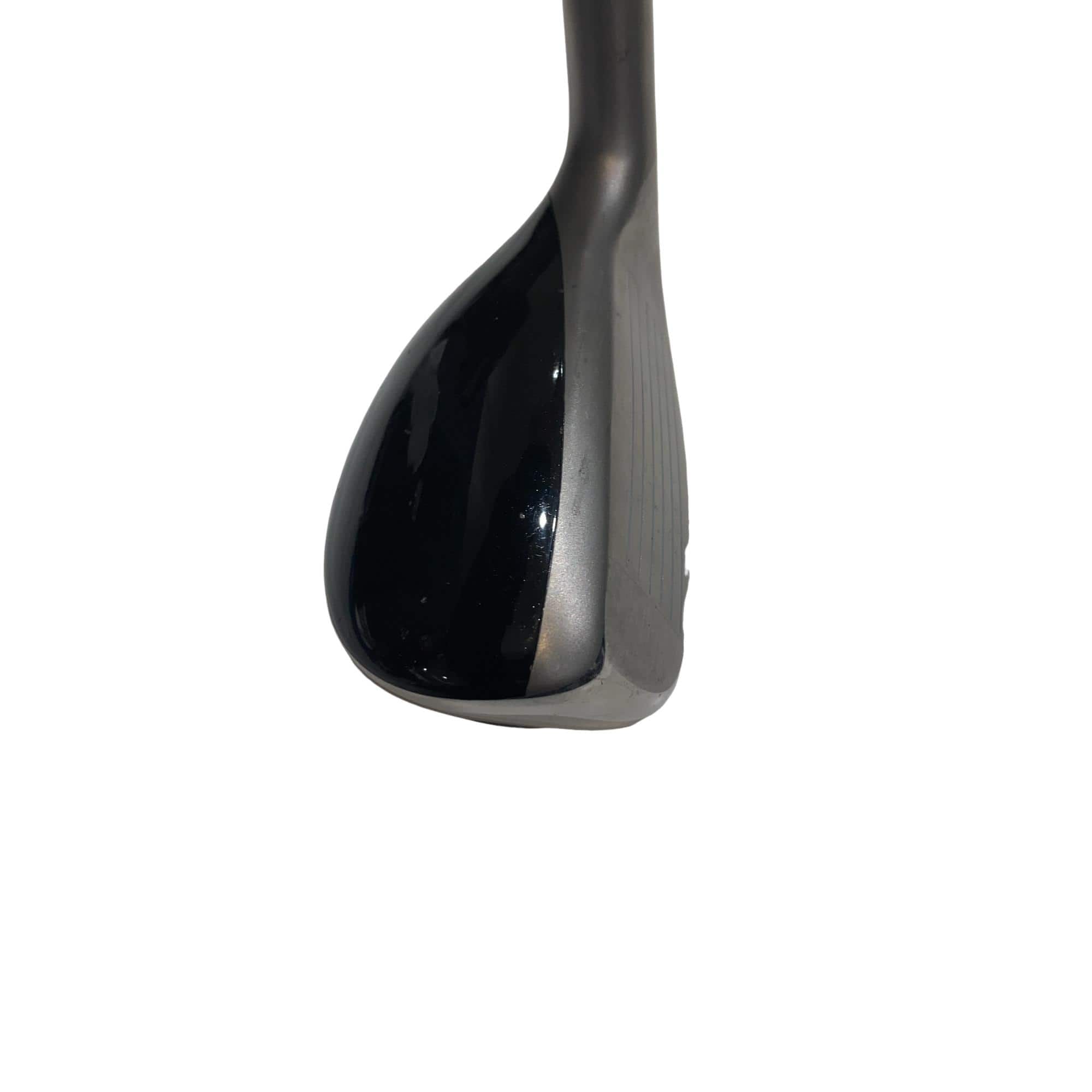 �u�q�@�o�q�n�@���[�e�B���e�B�@�t�R�@�t�r�`