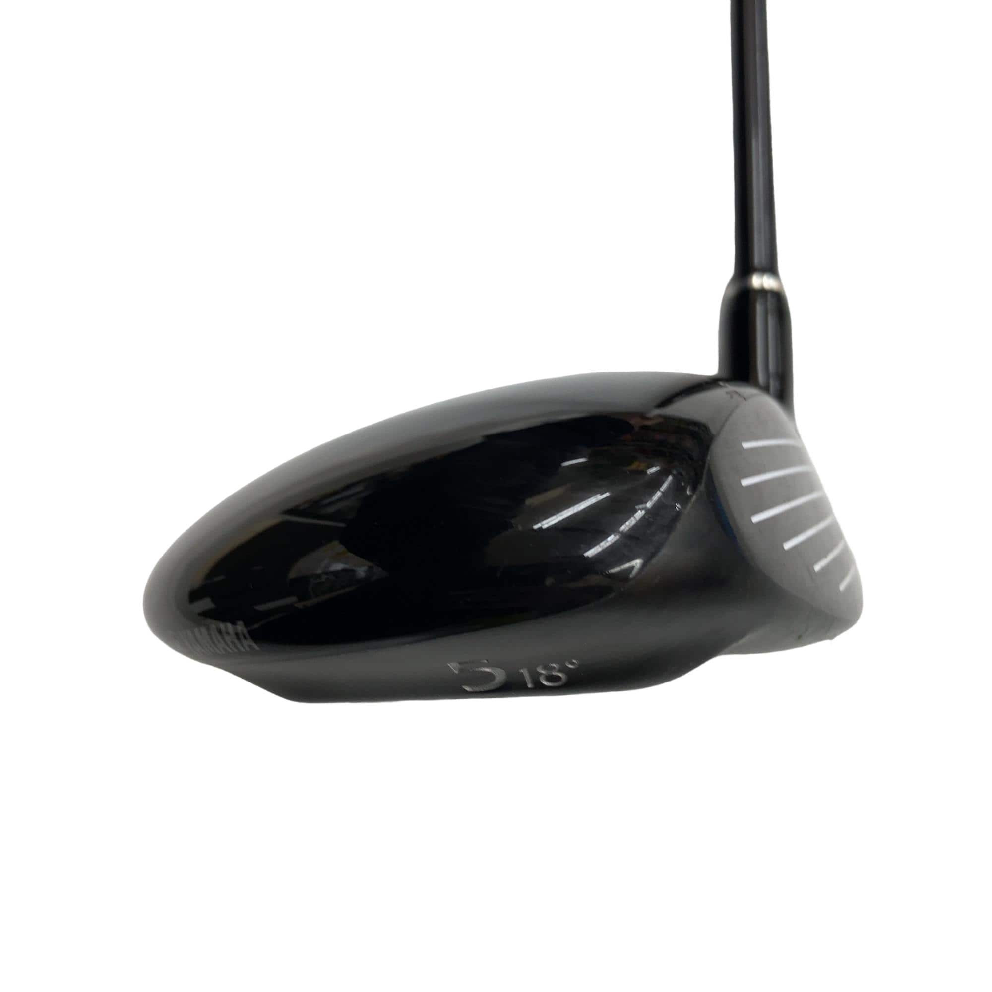 �������������@�w�@�b�������������i�Q�O�P�Q�j�@�T�v