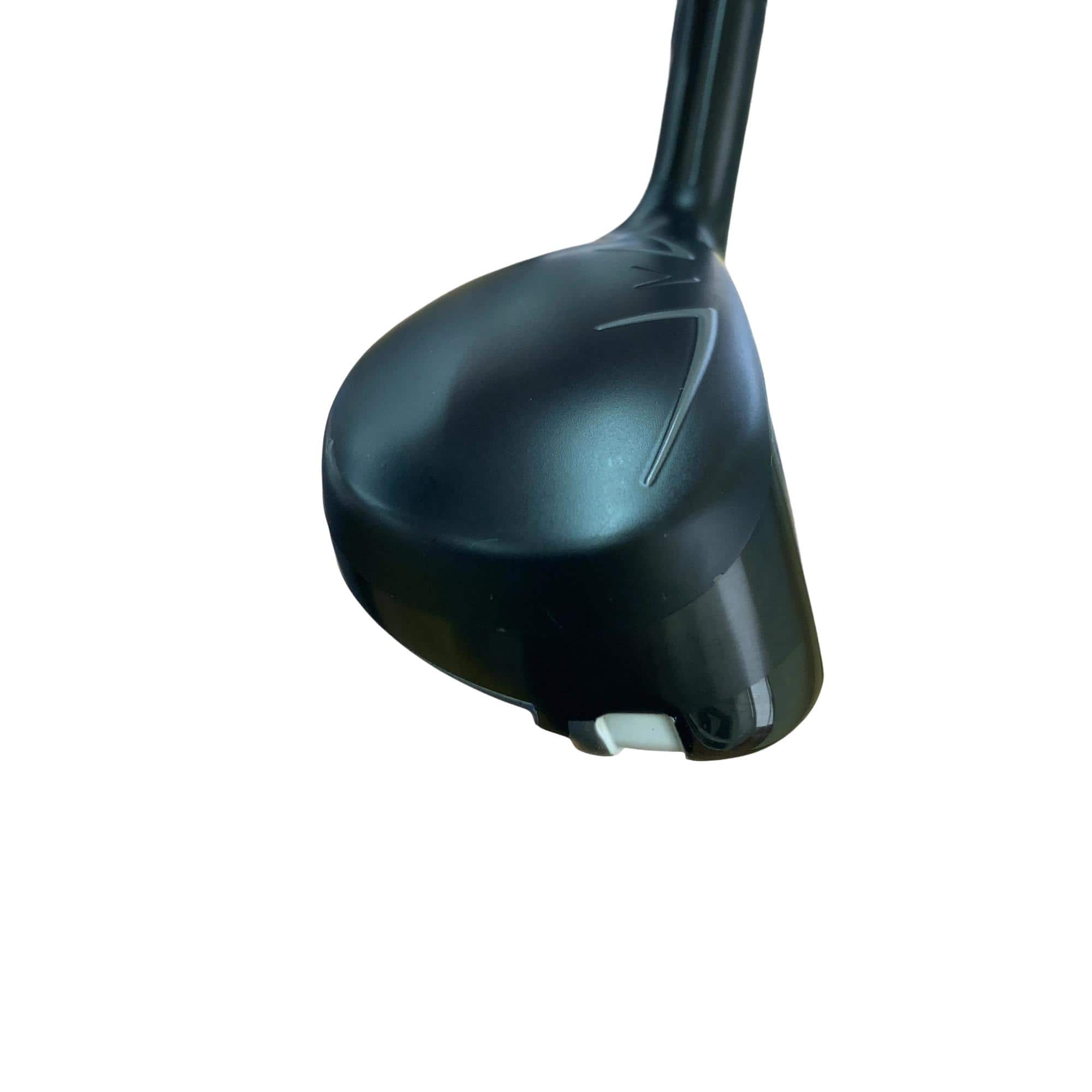 �w�q�@�t�U�@���f�B�[�X