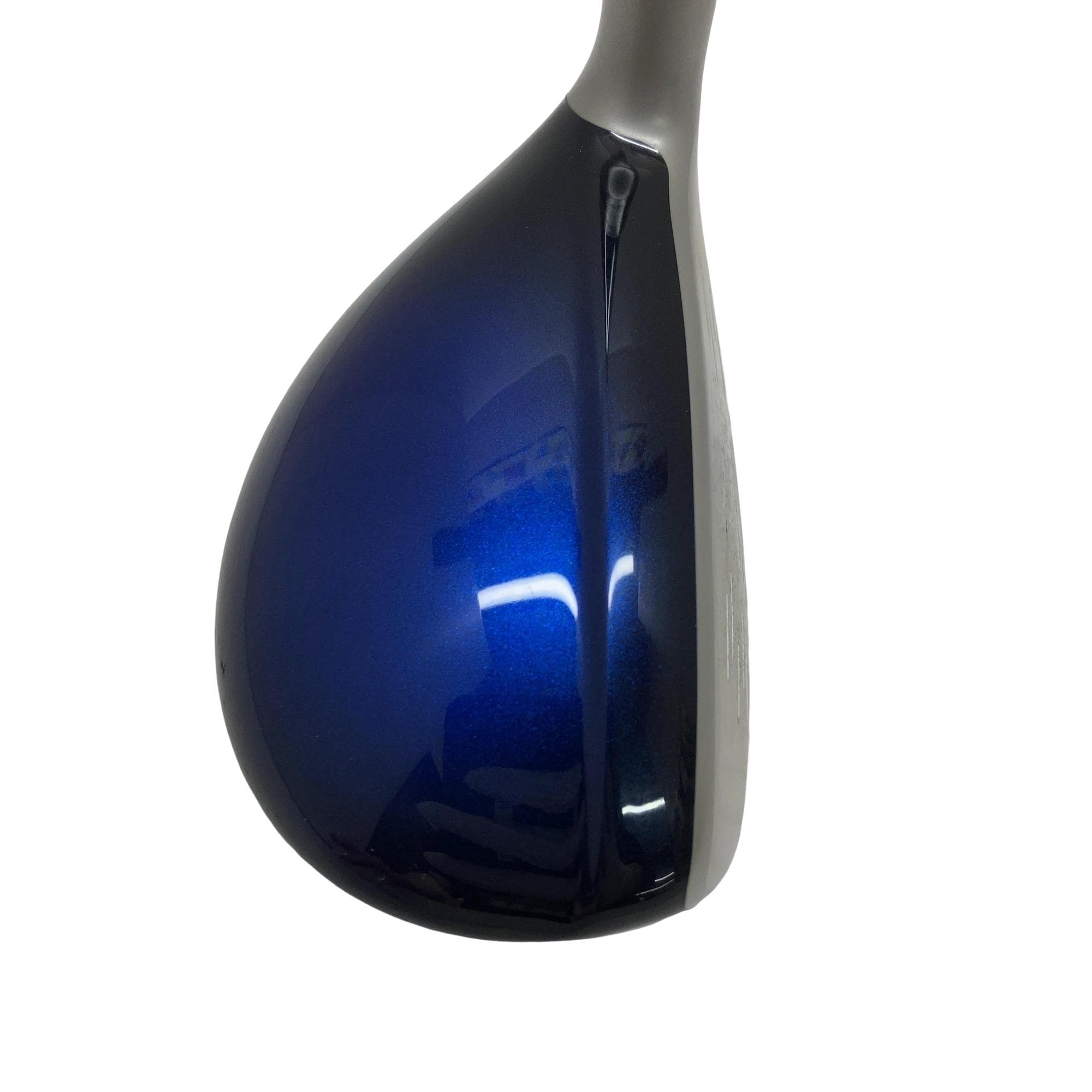 �w�w�h�n�i�Q�O�P�W�j�@�g�T