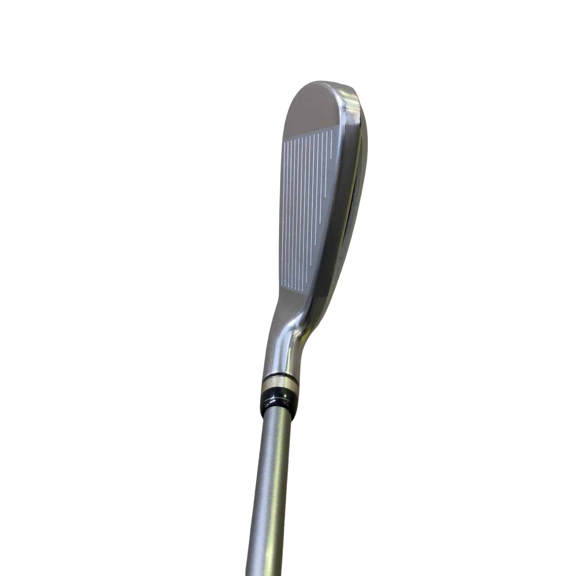 �������@�o�b�i�Q�O�P�V�j�@�U�r�i���{���F�U�{�Z�b�g�j