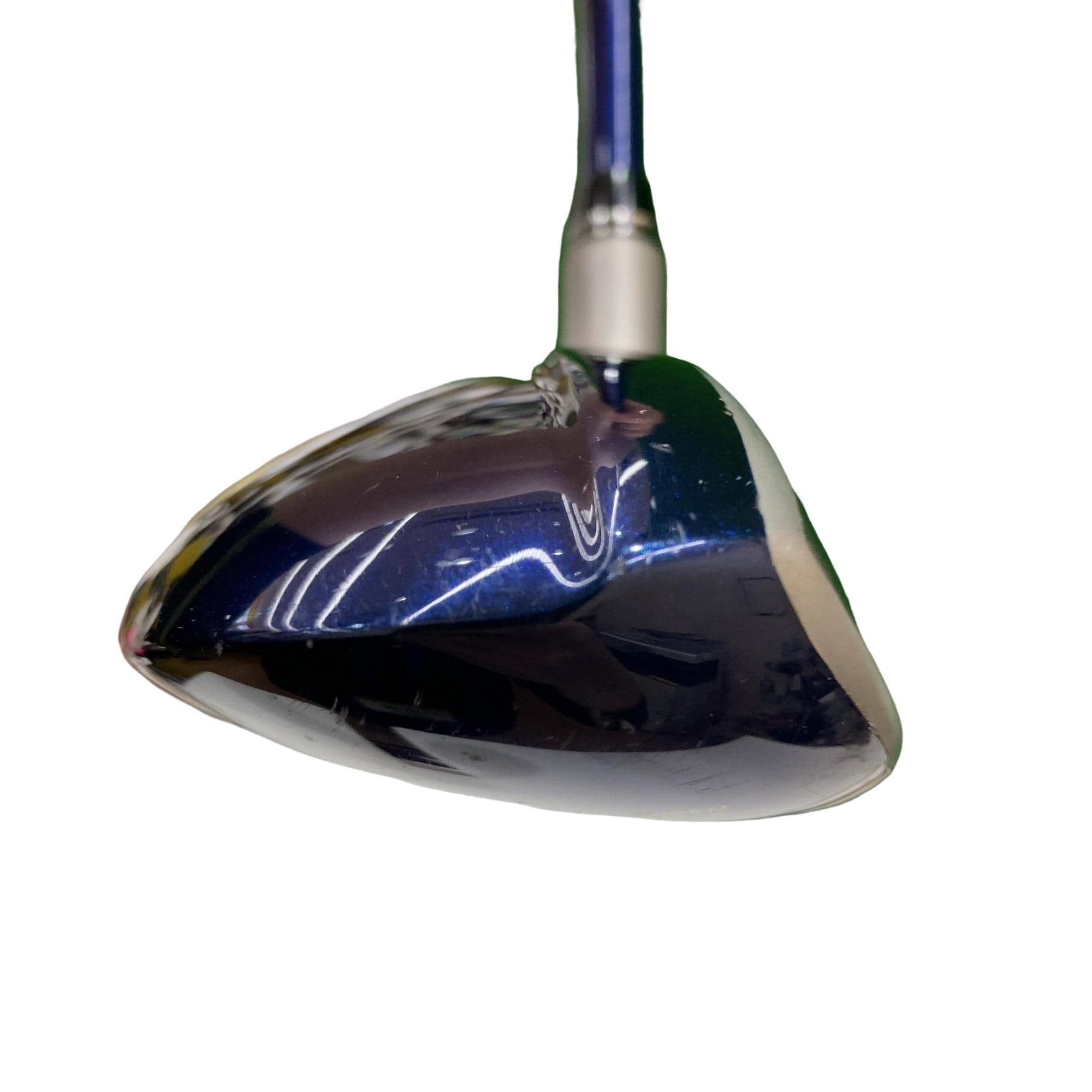 �w�w�h�n�i�Q�O�P�U�j�@�t�U�@���f�B�[�X