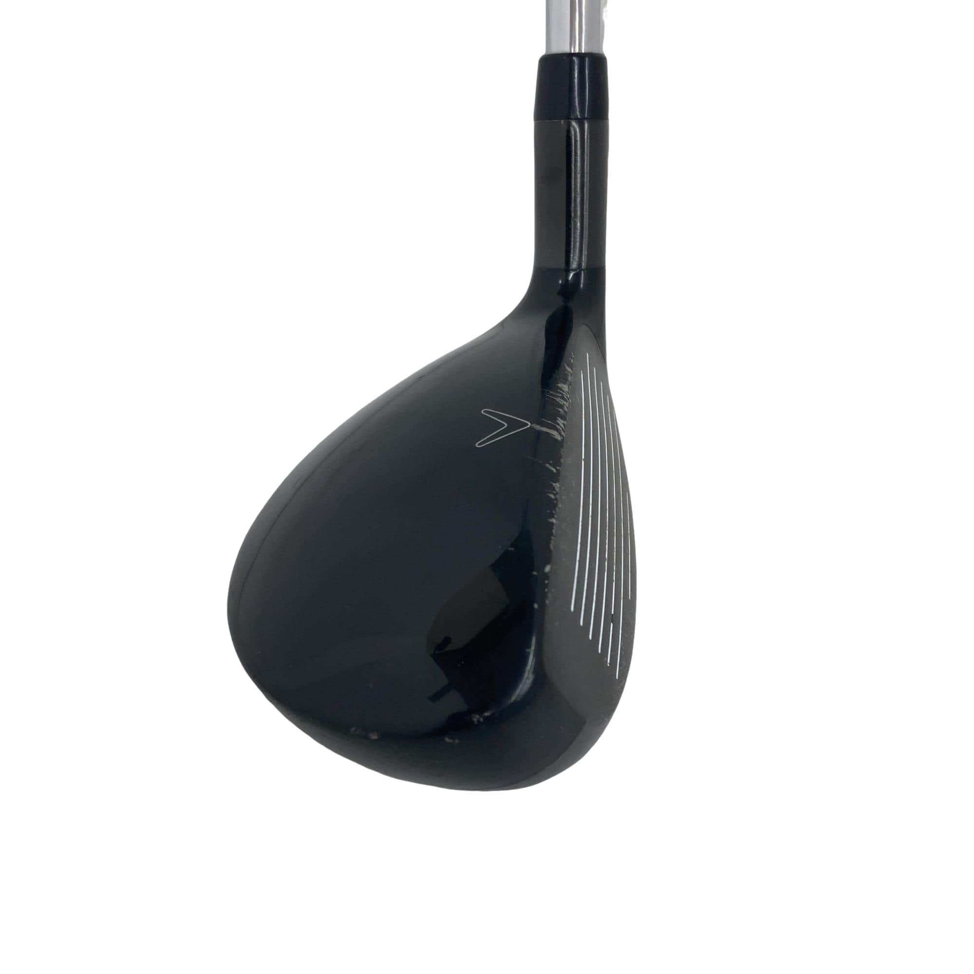 �w�Q�@�g�n�s�@�t�S