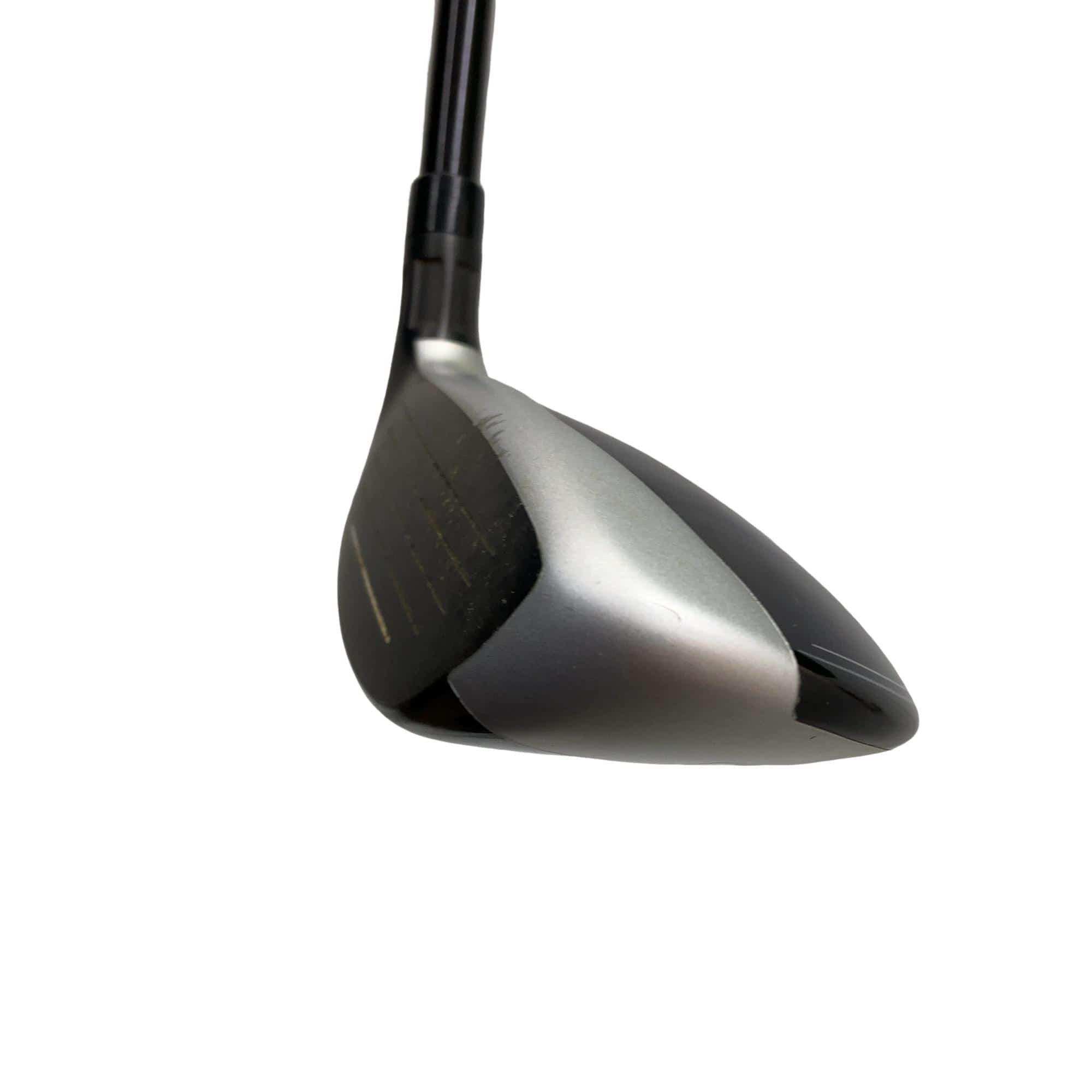 �l�S�@�t�R�@���t�e�B�@�t�r�`