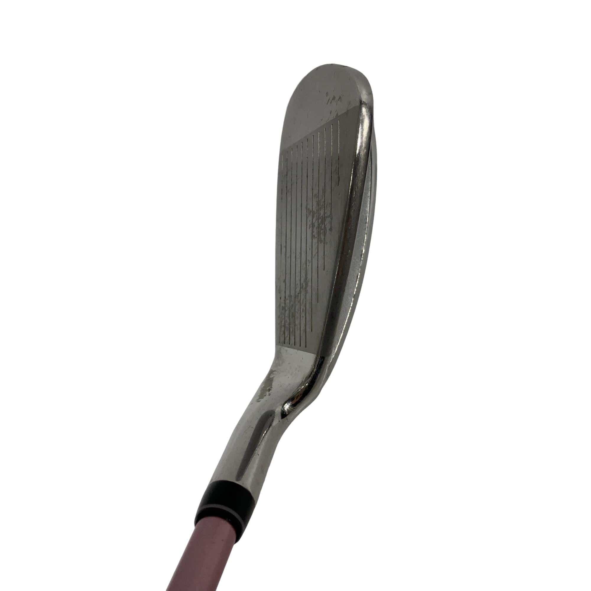 �o���������������@�b�k�i�Q�O�O�X�j�@�T�r�@���f�B�[�X�i���{���F�S�{�Z�b�g�j