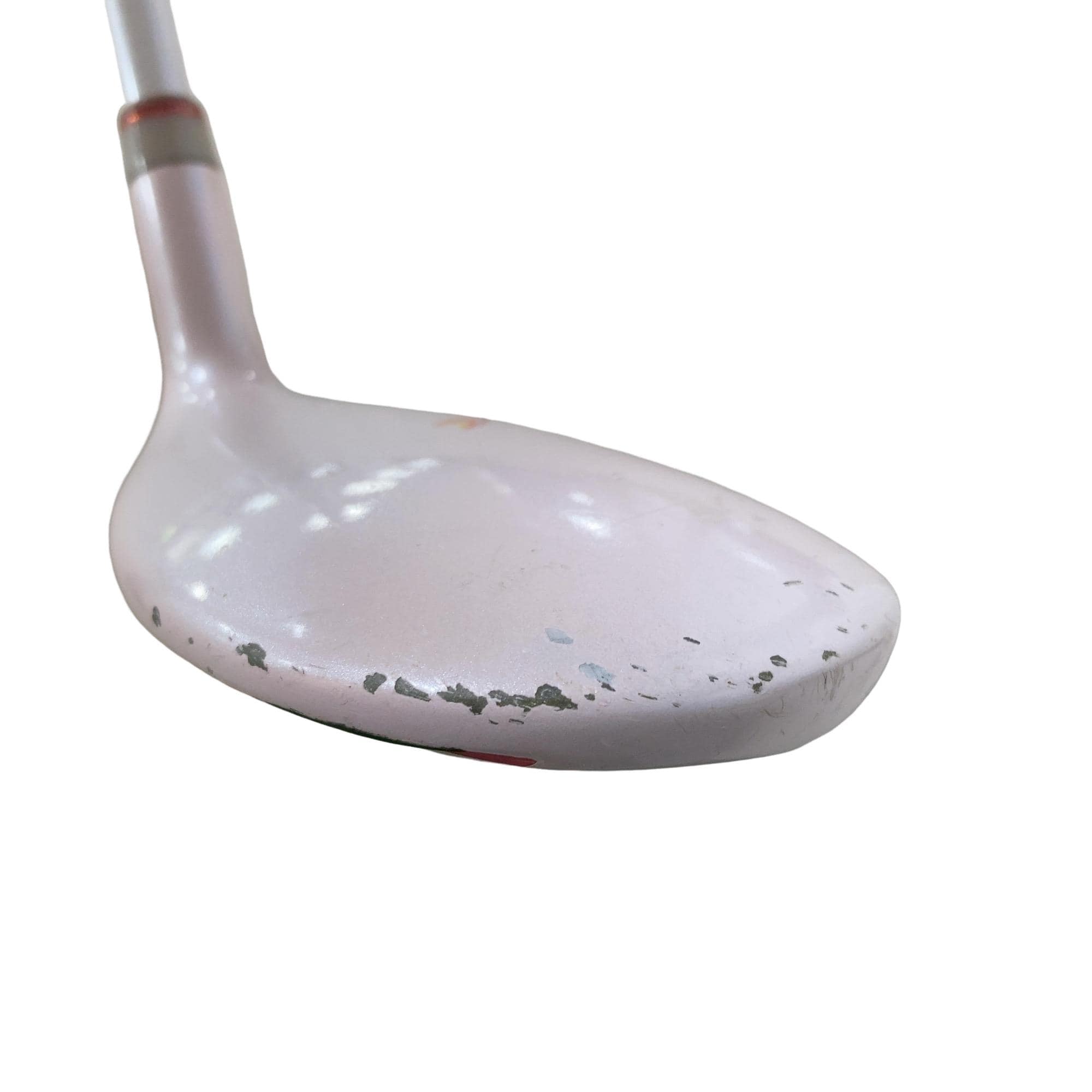 �o���������������@�b�k�i�Q�O�P�Q�j�@�t�U�@���f�B�[�X