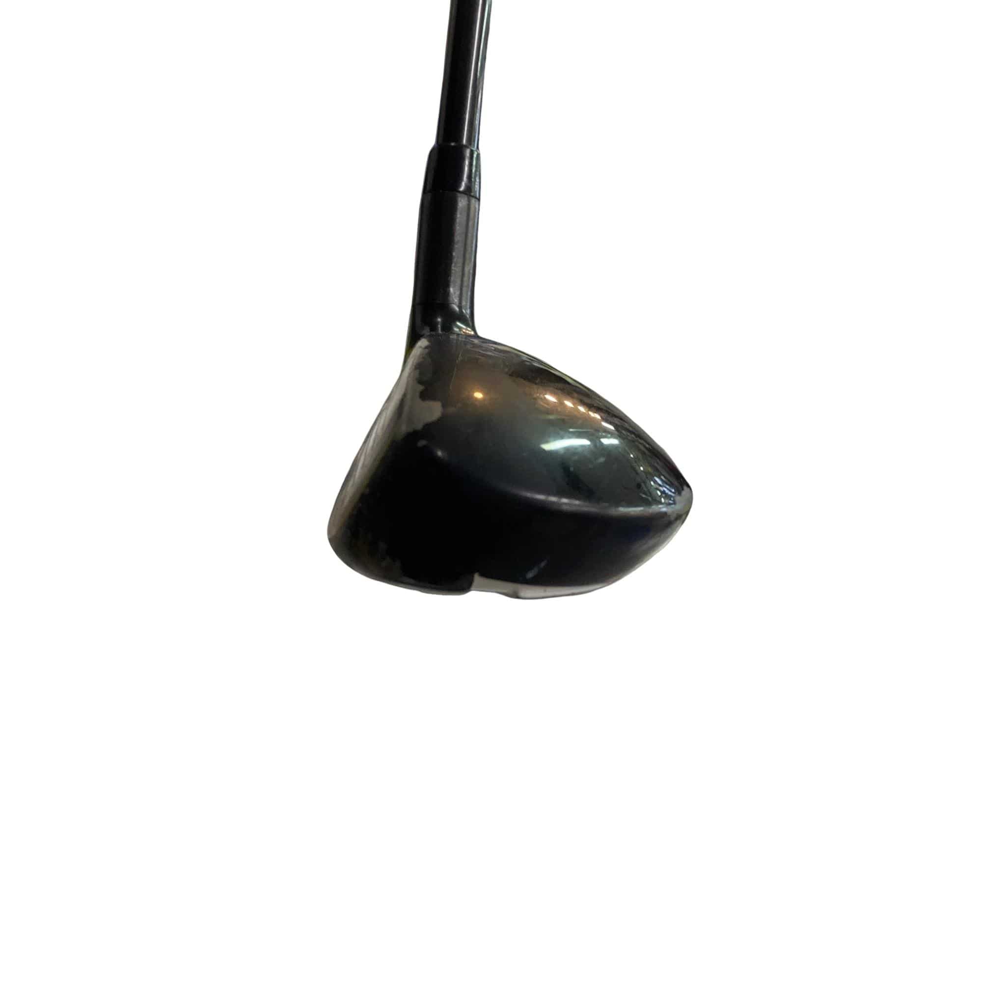 �w�Q�@�g�n�s�@�t�T�@���t�e�B