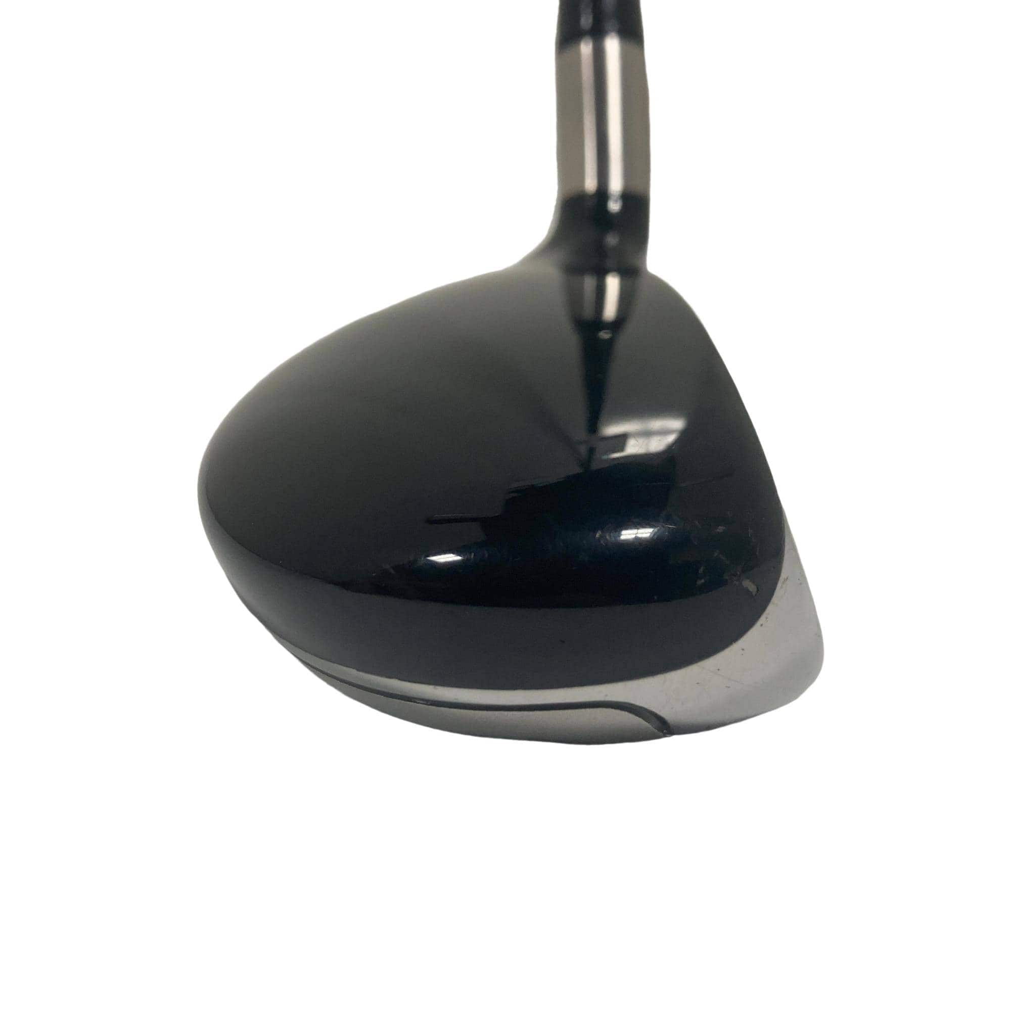 �e�s�@���[�e�B���e�B�@�c�q�`�v�@�R�g