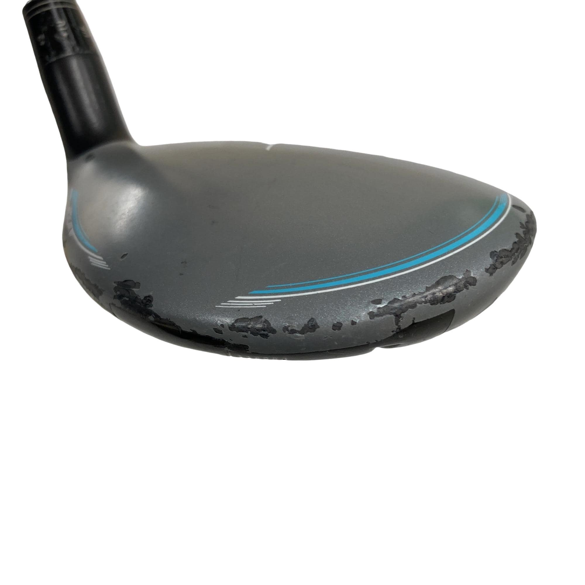 �i�o�w�@�X�O�O�@�t�S�@���f�B�[�X�@�t�r�`