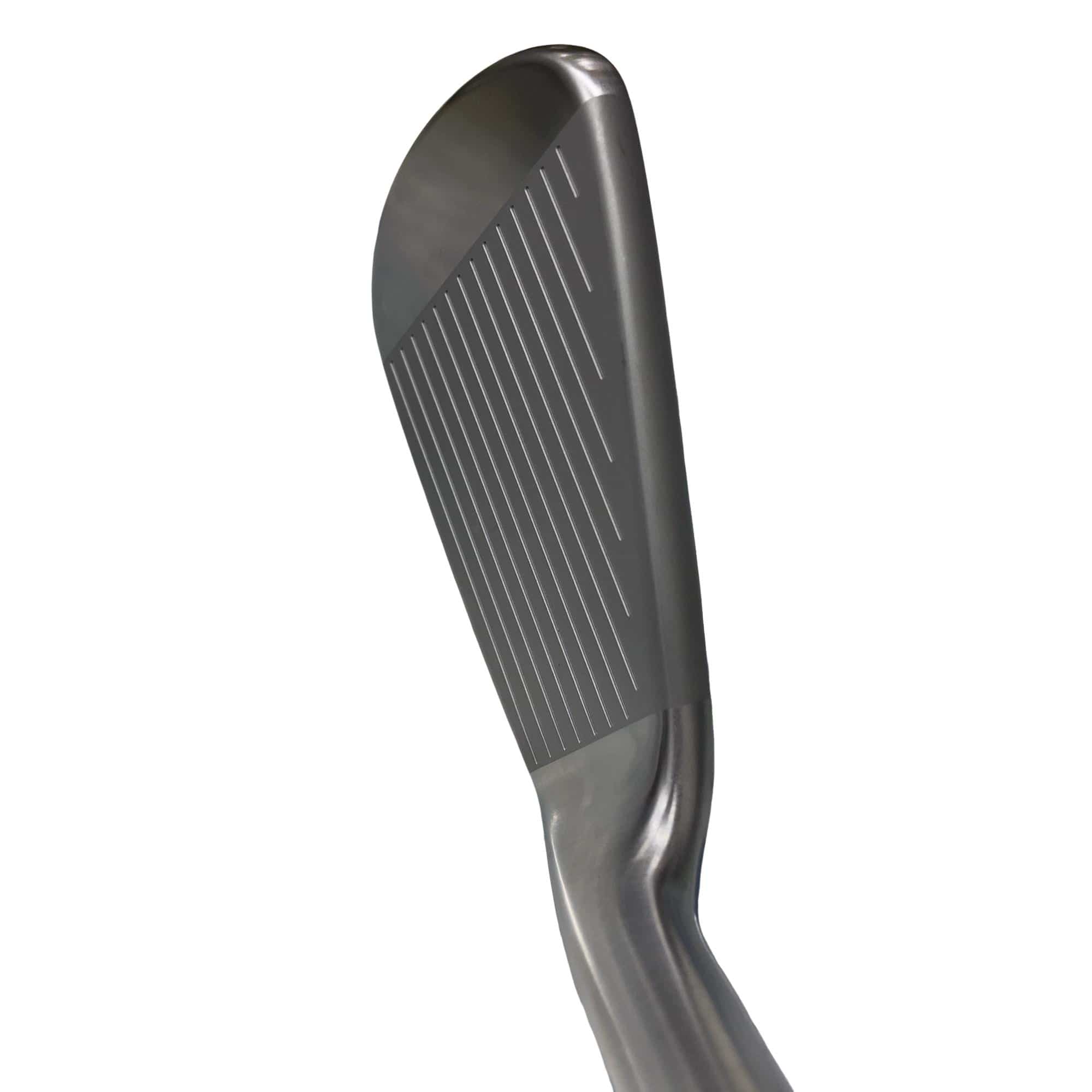 �s�����������@�l�������@�o�E�V�X�O�i�Q�O�Q�T�j�@�U�r�i���{���F�U�{�Z�b�g�j