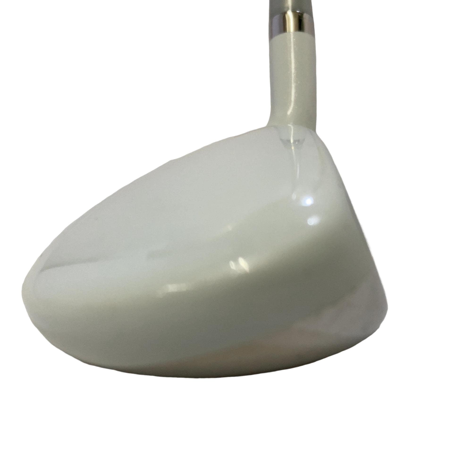 �����������i�Q�O�P�T�j�@�S�g�@���f�B�[�X