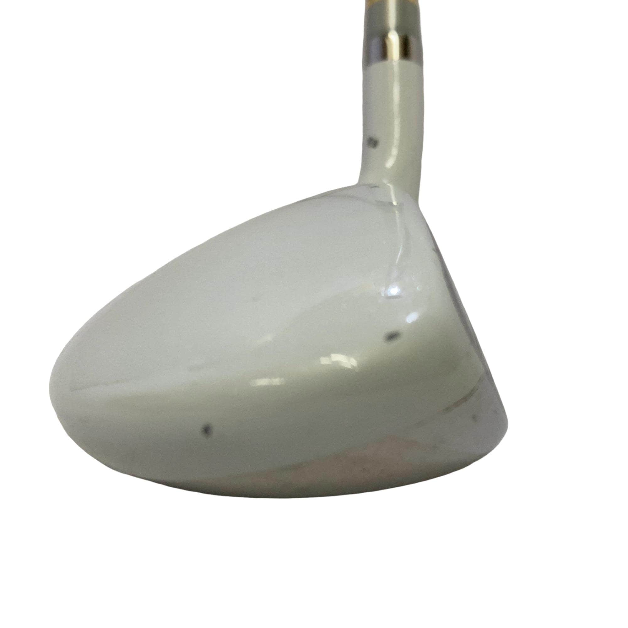 �����������i�Q�O�P�T�j�@�T�g�@���f�B�[�X