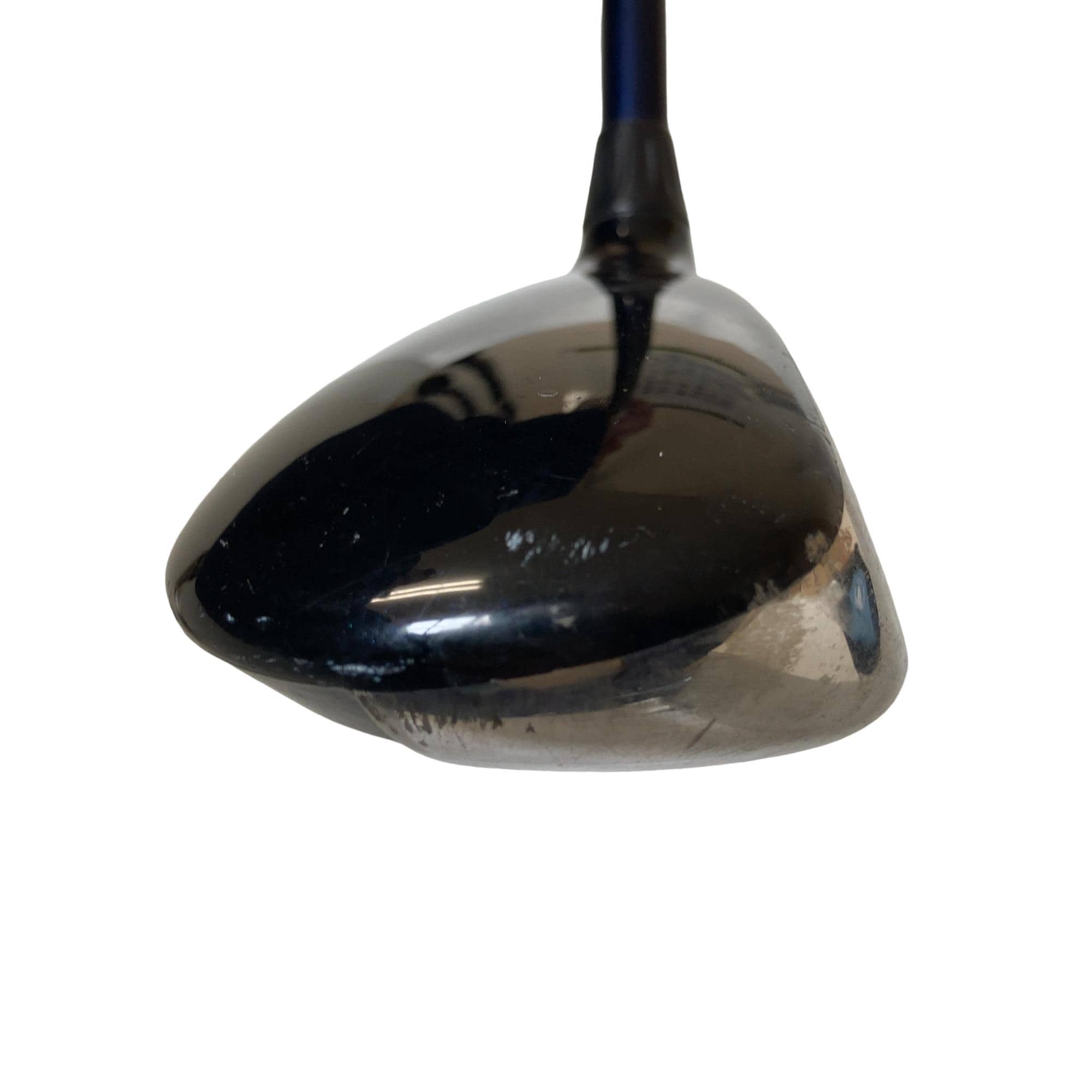 �w�@�c�q�r�@���[�e�B���e�B�@�S�g�i�Q�S°�j