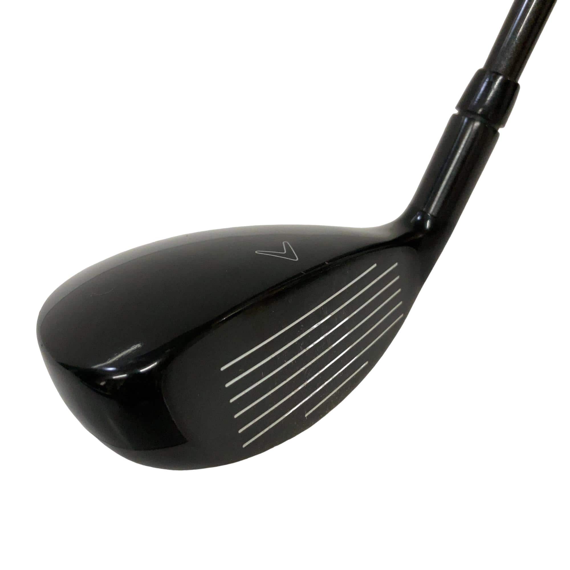 �w�Q�@�g�n�s�@�t�R